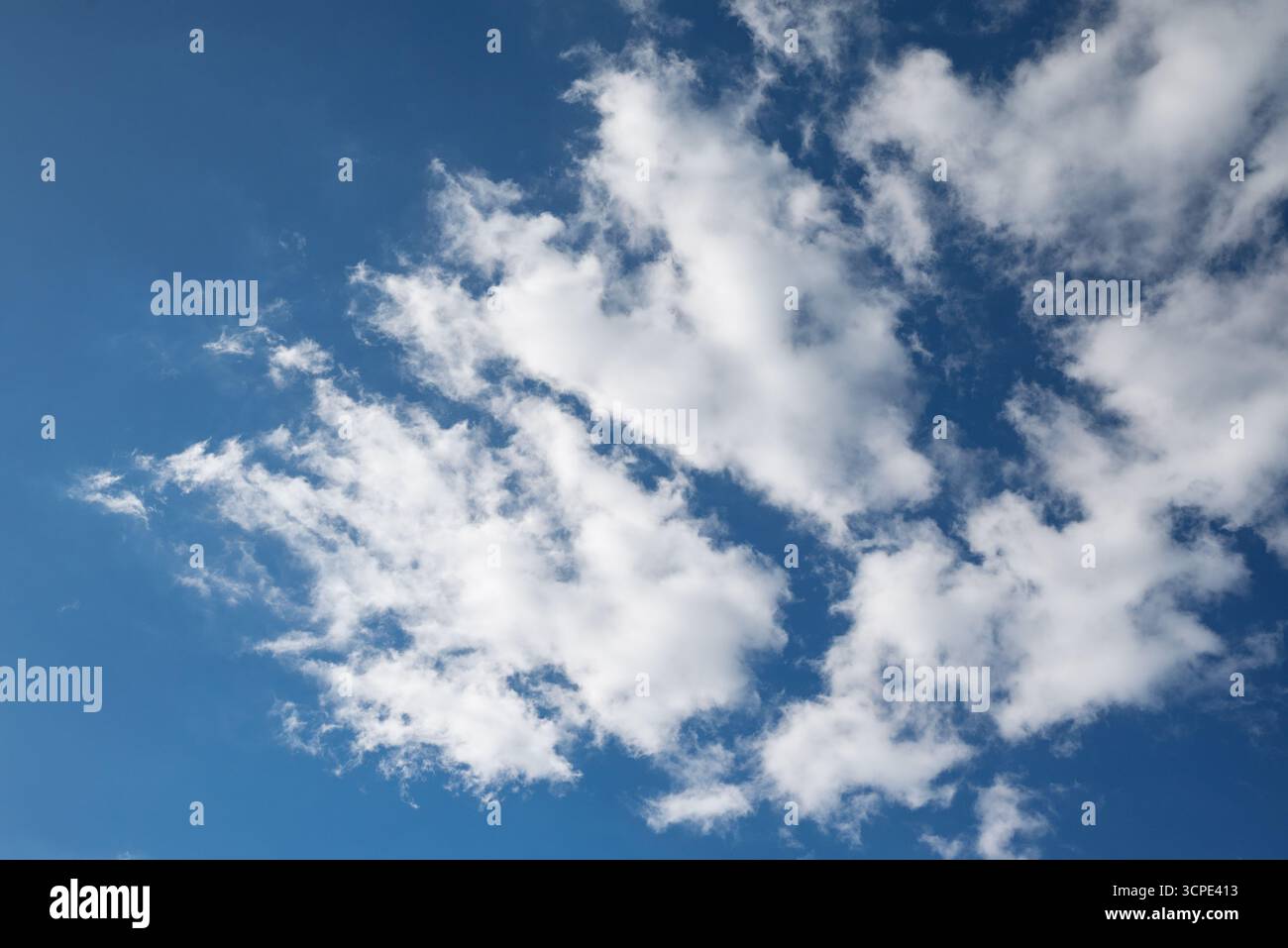 Morbide nuvole bianche di cuoio contro un cielo blu brillante: Ideale per la sostituzione del cielo Foto Stock