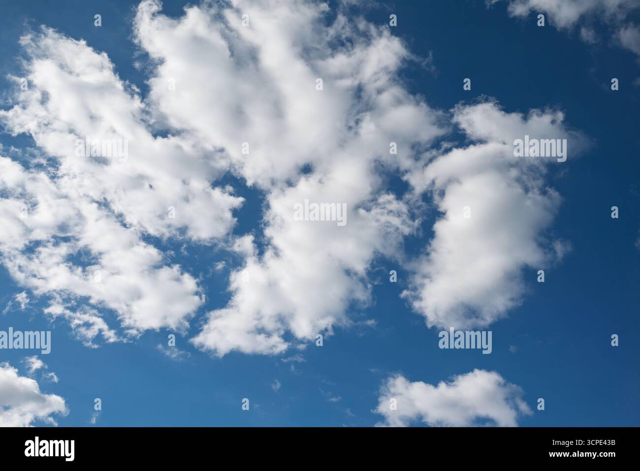 Morbide nuvole bianche di cuoio contro un cielo blu brillante: Ideale per la sostituzione del cielo Foto Stock