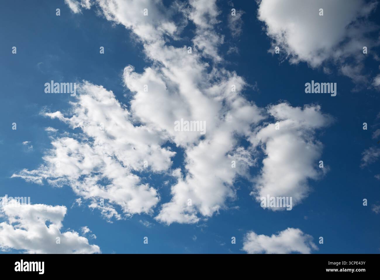 Morbide nuvole bianche di cuoio contro un cielo blu brillante: Ideale per la sostituzione del cielo Foto Stock