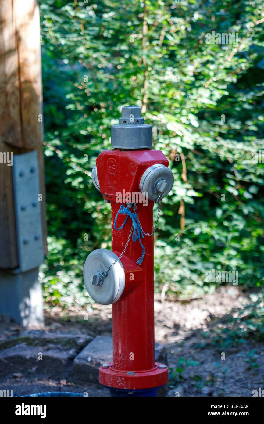 Un idrante rosso con tappi argentati si trova di fronte al fogliame verde, accanto a un palo in legno con supporti metallici. Foto Stock