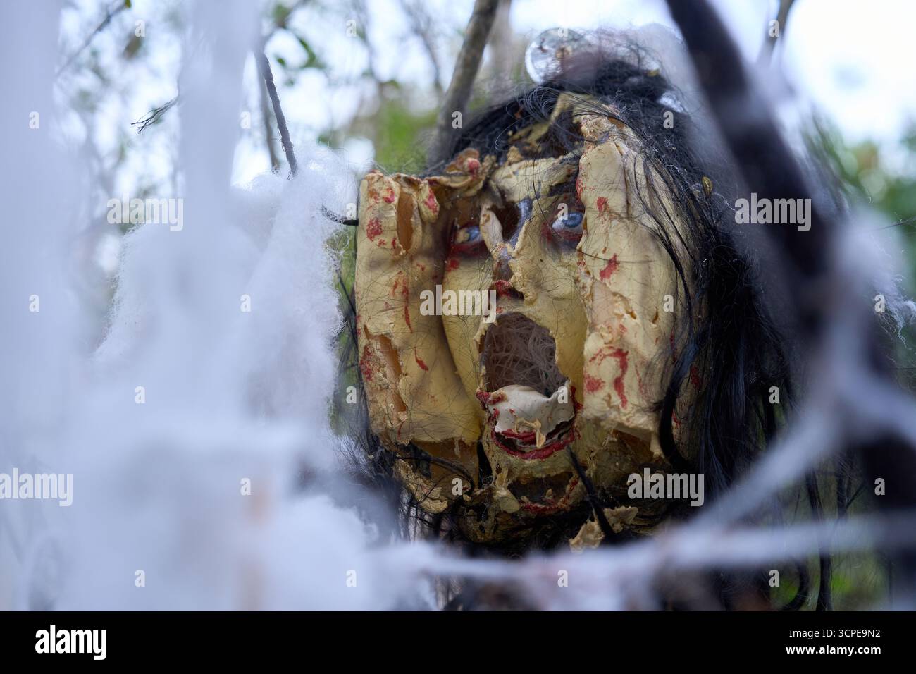 Il viso di una bambola mutilato con lattice incrinato e sangue macchiato è appeso su ragnatele appiccicose. Spaventoso oggetto di Halloween incorniciato da rami in un giardino all'aperto. Foto Stock