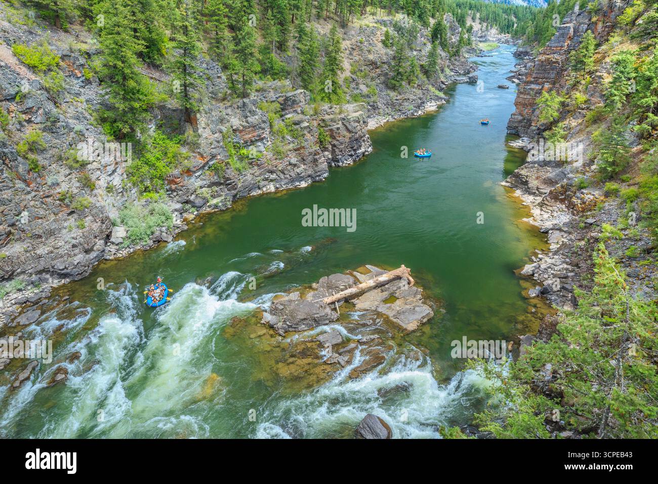 Riprese di balseros fang rapide sul fiume Clark Fork in alberton gorge vicino Alberton, montana Foto Stock