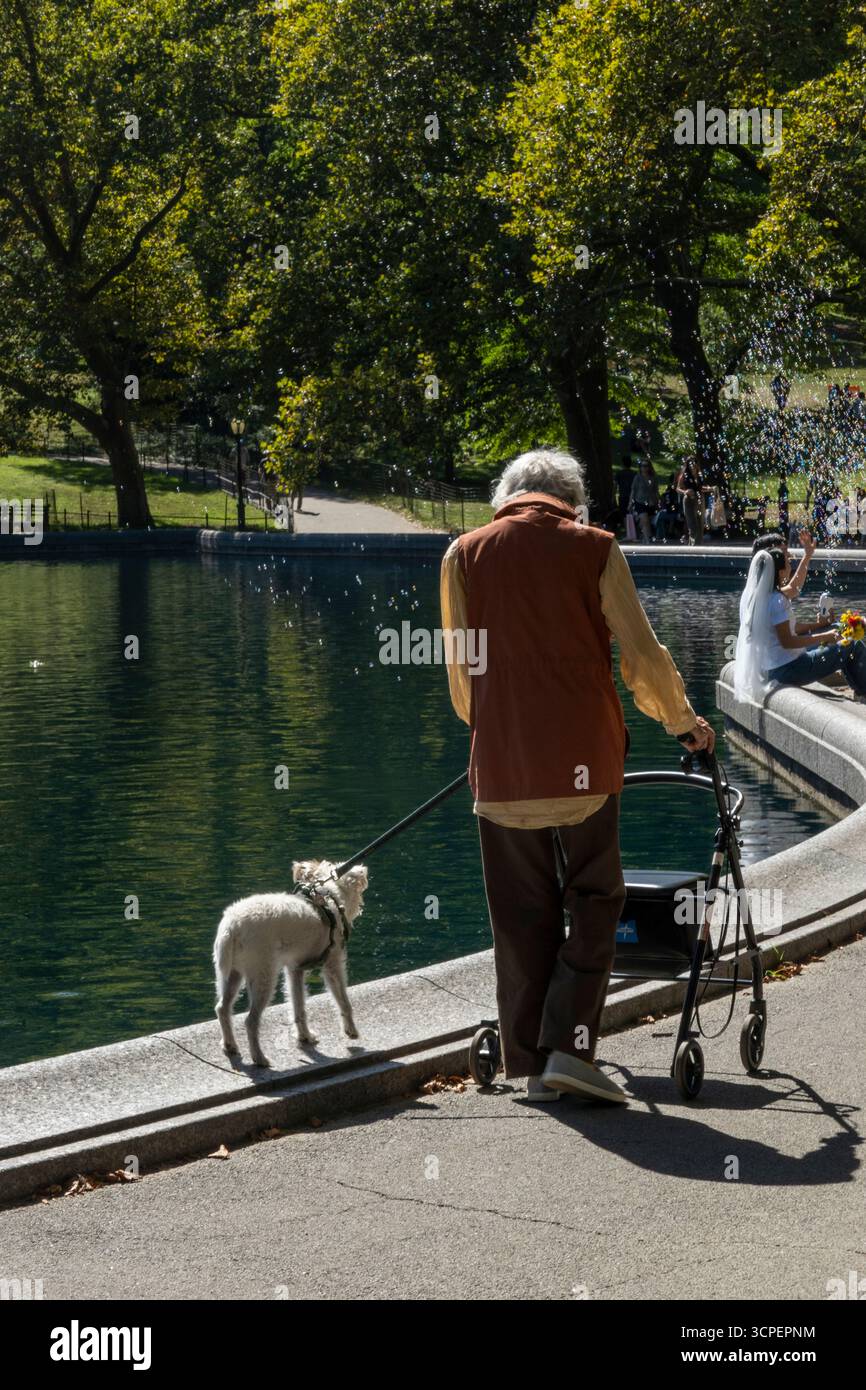 Scena tranquilla a Central Park, New York City, che mostra una persona anziana con un camminatore che si gode una passeggiata accanto allo stagno mentre cammina un piccolo cane bianco. Foto Stock