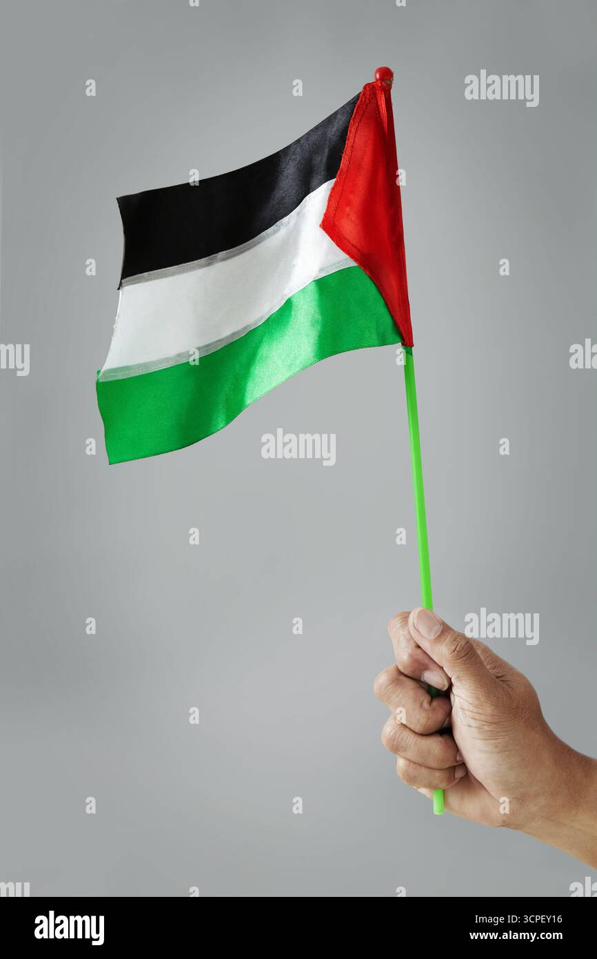 Una mano regge una piccola bandiera palestinese con i colori nero, bianco, verde e rosso su un bastone verde, a simboleggiare l'identità, l'orgoglio e la solidarietà Foto Stock