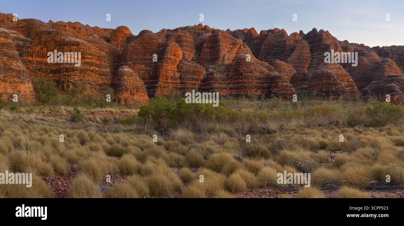 Il paesaggio unico delle Bungle Bungles (Purnululu National Park), delle regioni di Kimberley, Australia Occidentale. Foto Stock