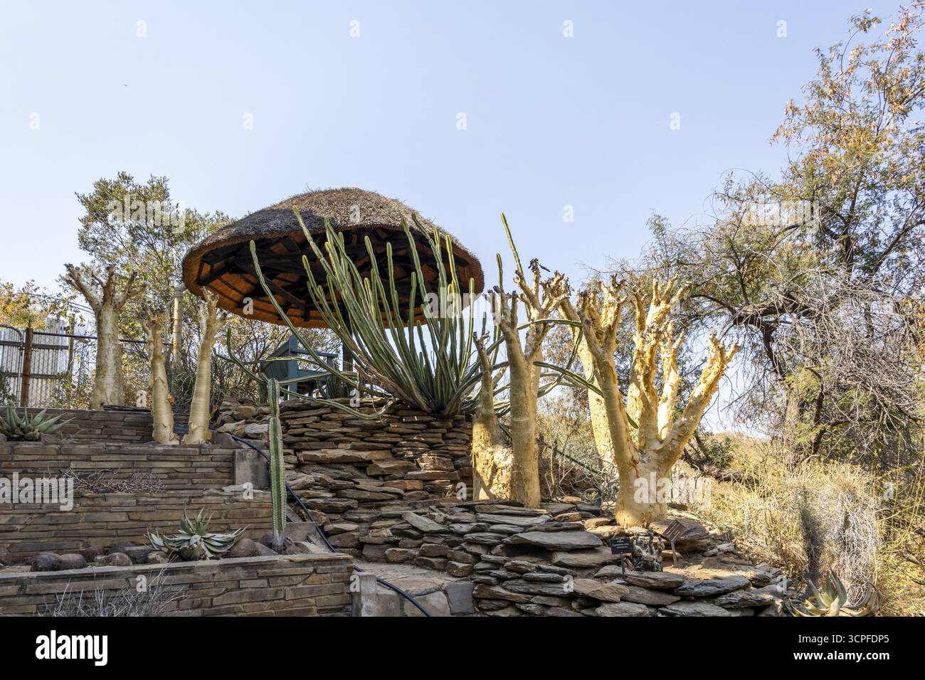Un sentiero in pietra si snoda tra boschi secchi e cespugli presso il Giardino Botanico Nazionale, Windhoek, Namibia, con cartelli interpretativi lungo il sentiero e il dis Foto Stock