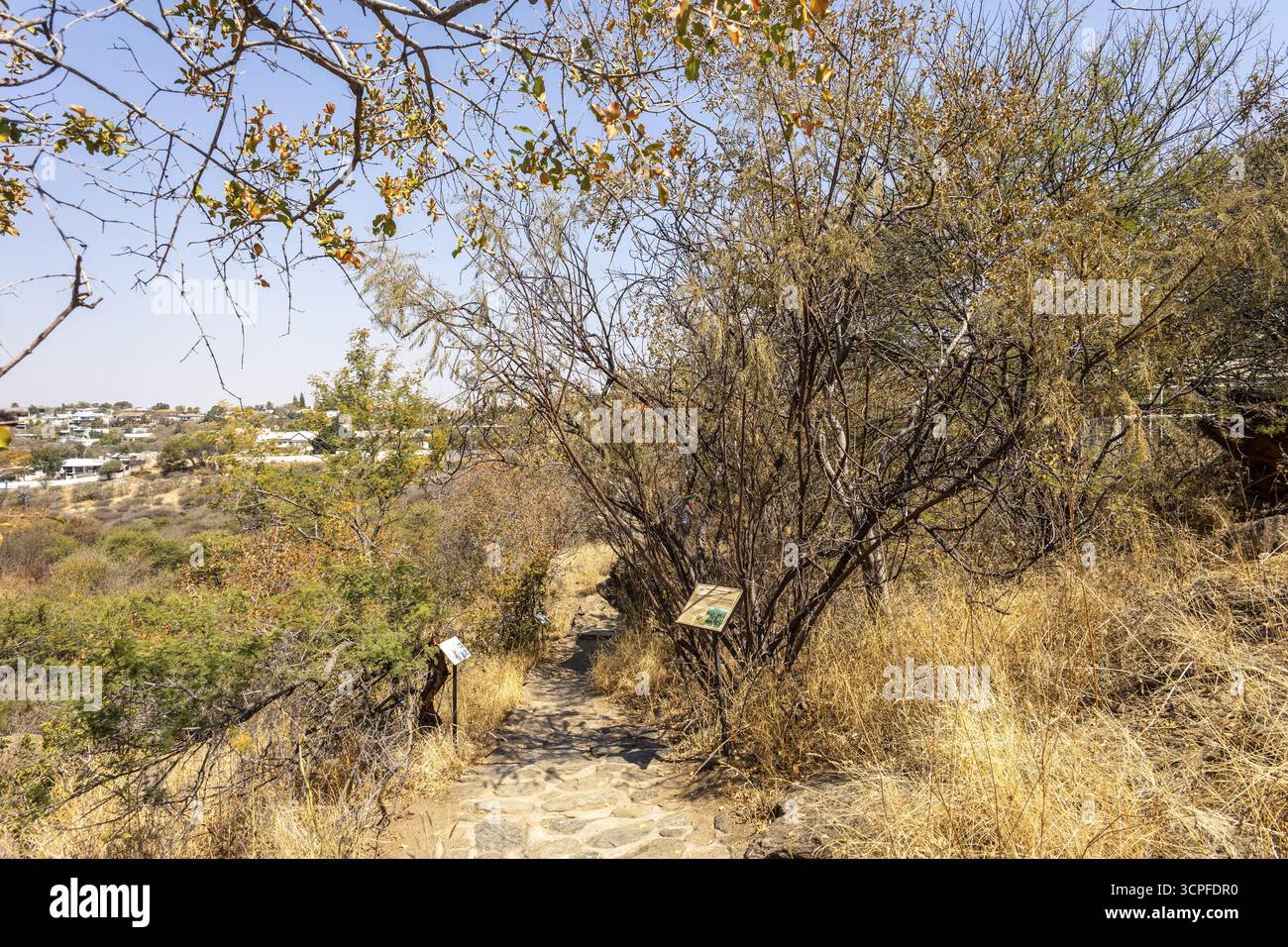 Un sentiero in pietra si snoda tra boschi secchi e cespugli presso il Giardino Botanico Nazionale, Windhoek, Namibia, con cartelli interpretativi lungo il sentiero e il dis Foto Stock