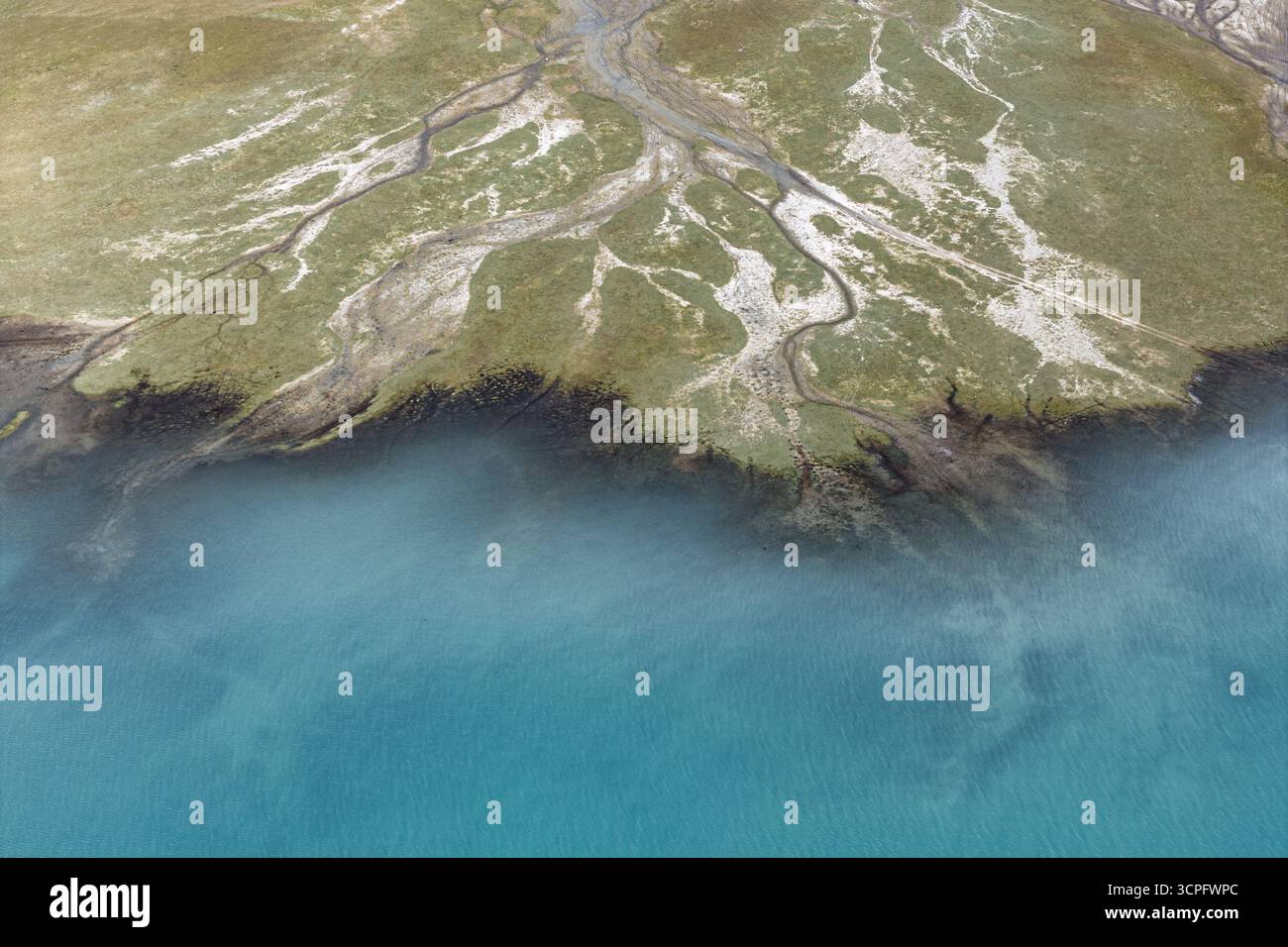 Vista aerea delle acque turchesi che incontrano il terreno aspro e erboso, dove tortuosi ruscelli intagliano intricati motivi nel paesaggio, lago Baisha, Xinjiang, Cina. Foto Stock