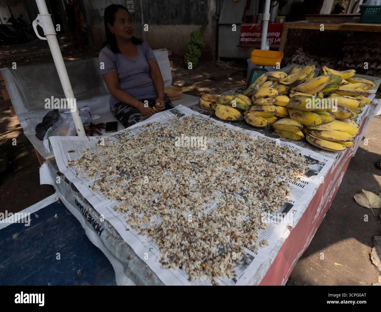 Donna locale che vende larve di Ant al mercato locale, per cibo di uccelli, Bali, Indonesia Foto Stock
