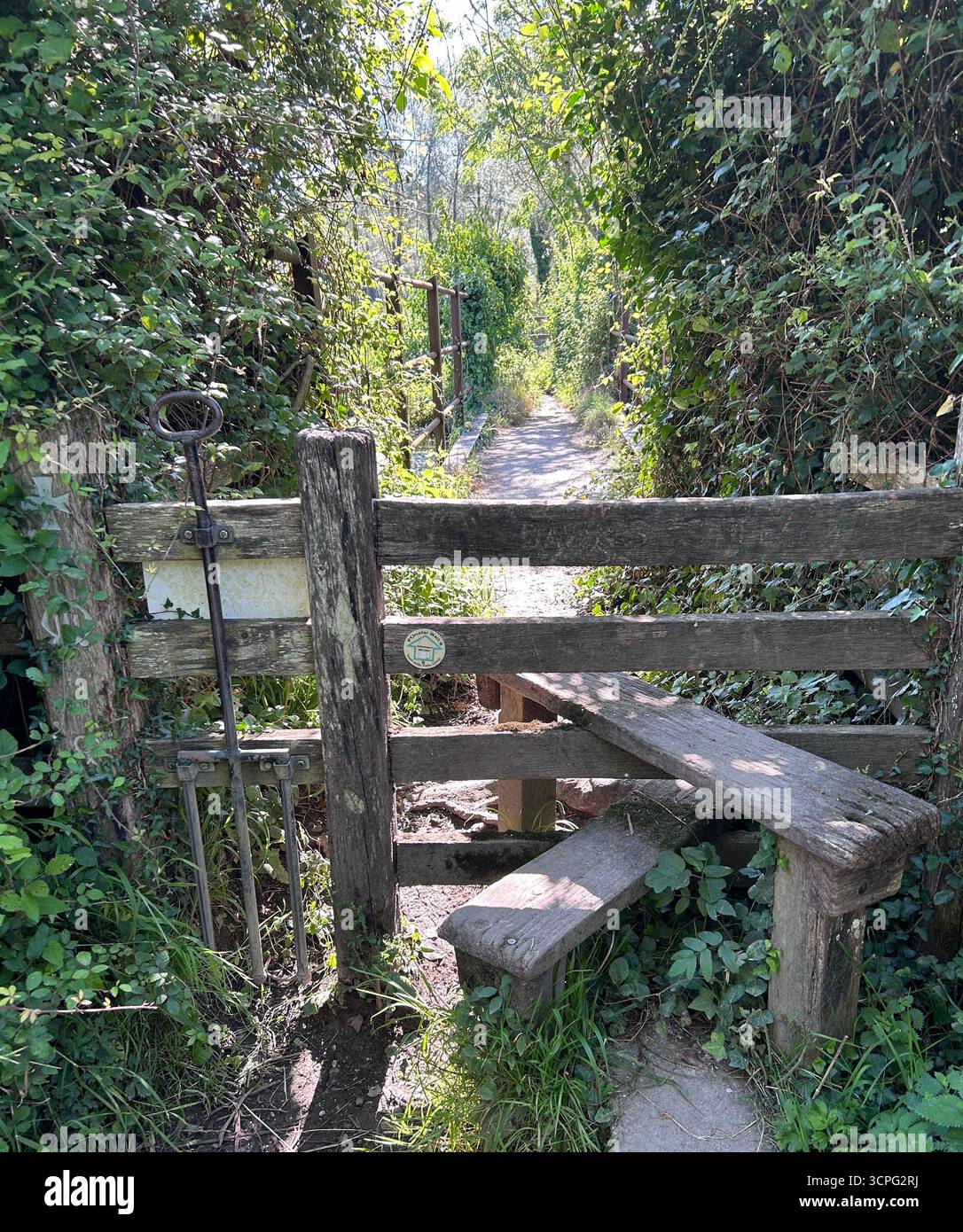 Vecchio stile su un sentiero nel bosco vicino a Downton, Wiltshire, Regno Unito Foto Stock
