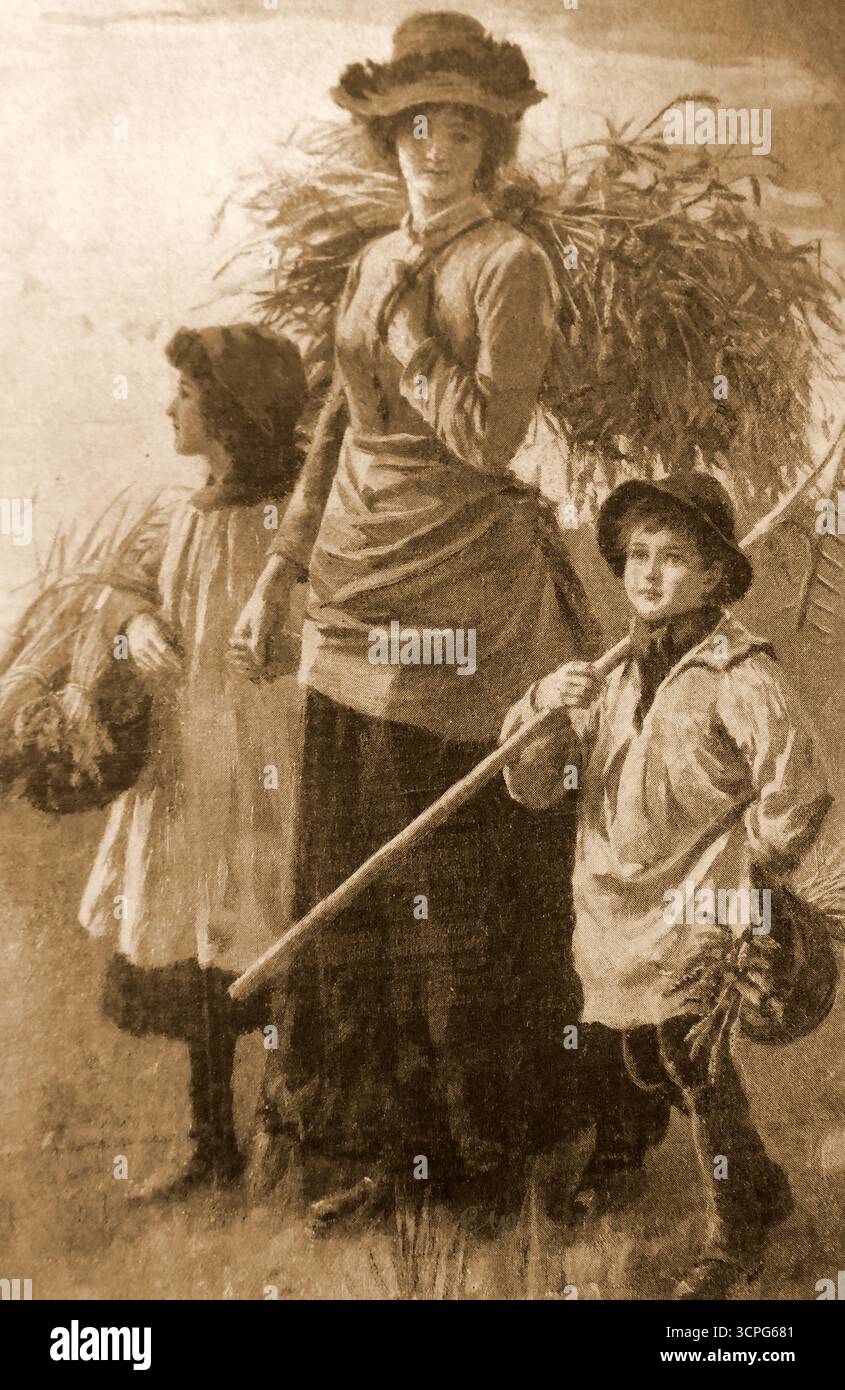 1908 - Una famiglia di granturco , (raccolta di granturco scartato dopo la raccolta) . Questa era una volta una pratica comune in Gran Bretagna quando gli agricoltori permettevano agli individui di ripulire raccogliendo le colture di cereali scartate per produrre la propria farina/ Foto Stock
