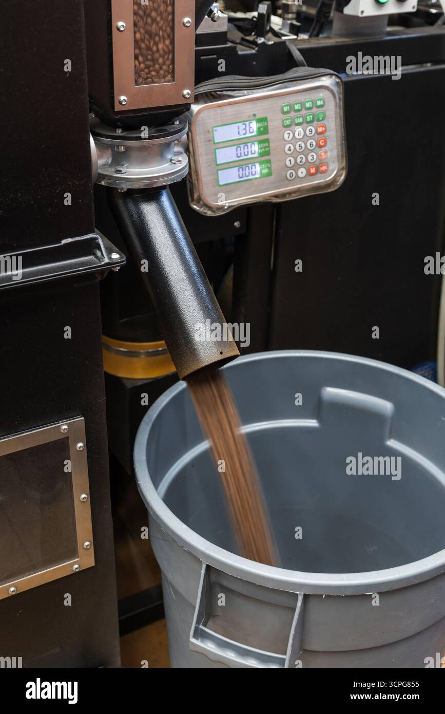 I chicchi di caffè tostati subito dopo la tostatura vengono versati rapidamente dalla macchina per torrefazione industriale in un contenitore di raccolta, foto ravvicinata con sfocatura in movimento Foto Stock