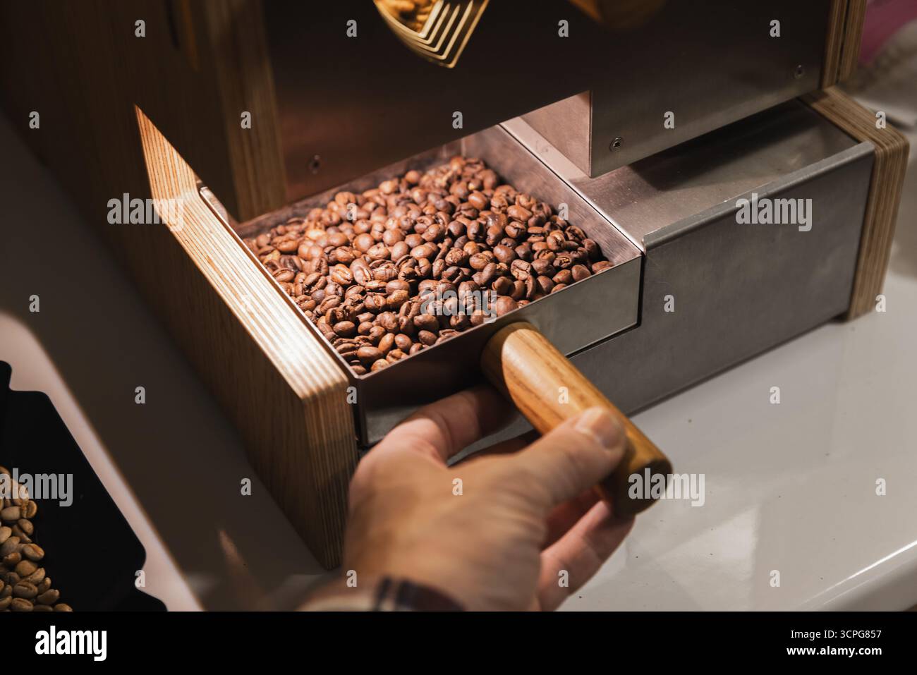 Una persona che estrae a mano chicchi di caffè arabica tostati subito dopo la tostatura da un tostapane, foto ravvicinata con messa a fuoco selettiva Foto Stock