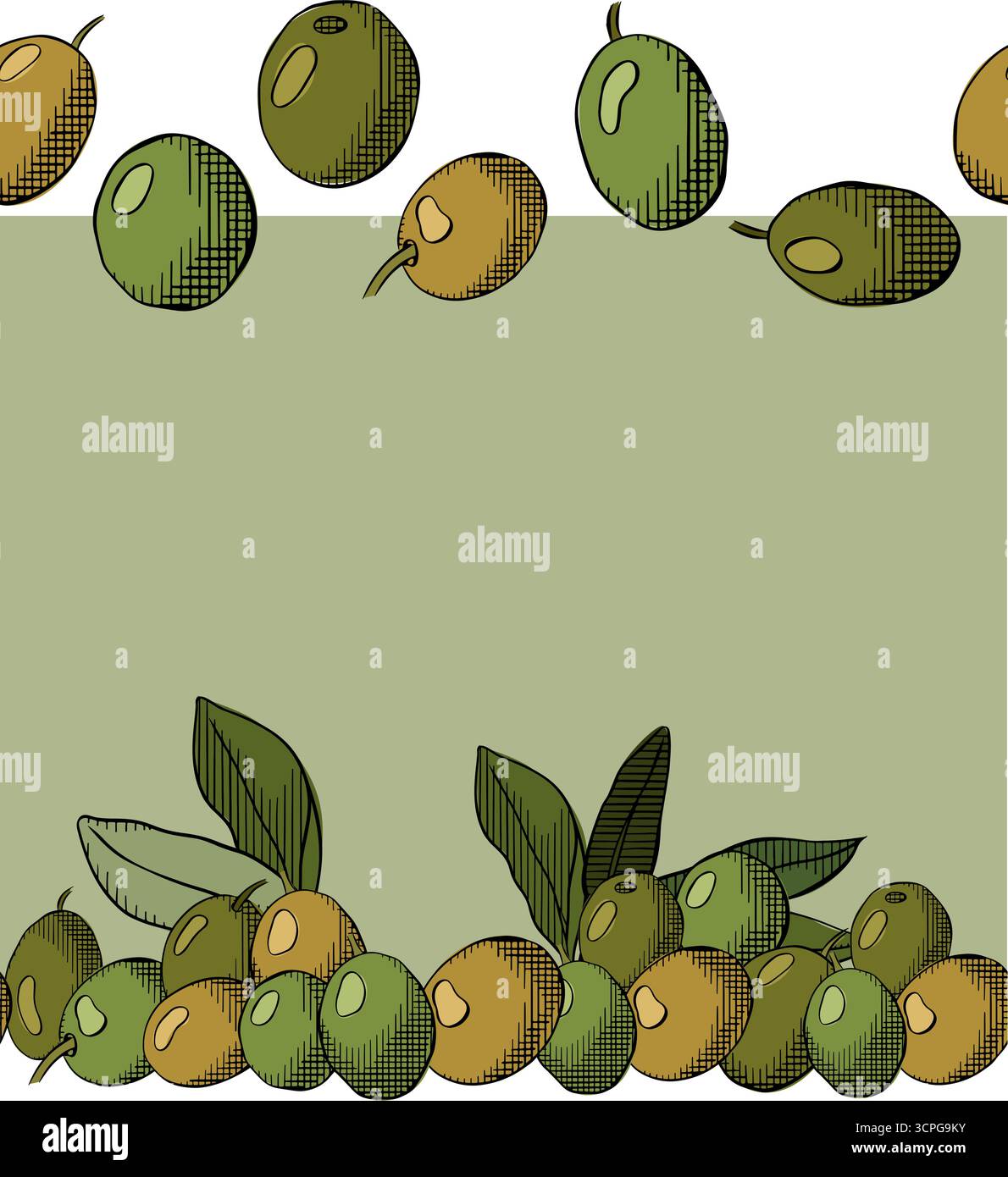 Modello di cornice orizzontale con bordo senza cuciture per frutti di oliva e foglie. Illustrazione colorata con inchiostro a linee grafiche vettoriali. Telaio del ramo d'ulivo mediterraneo. Illustrazione Vettoriale