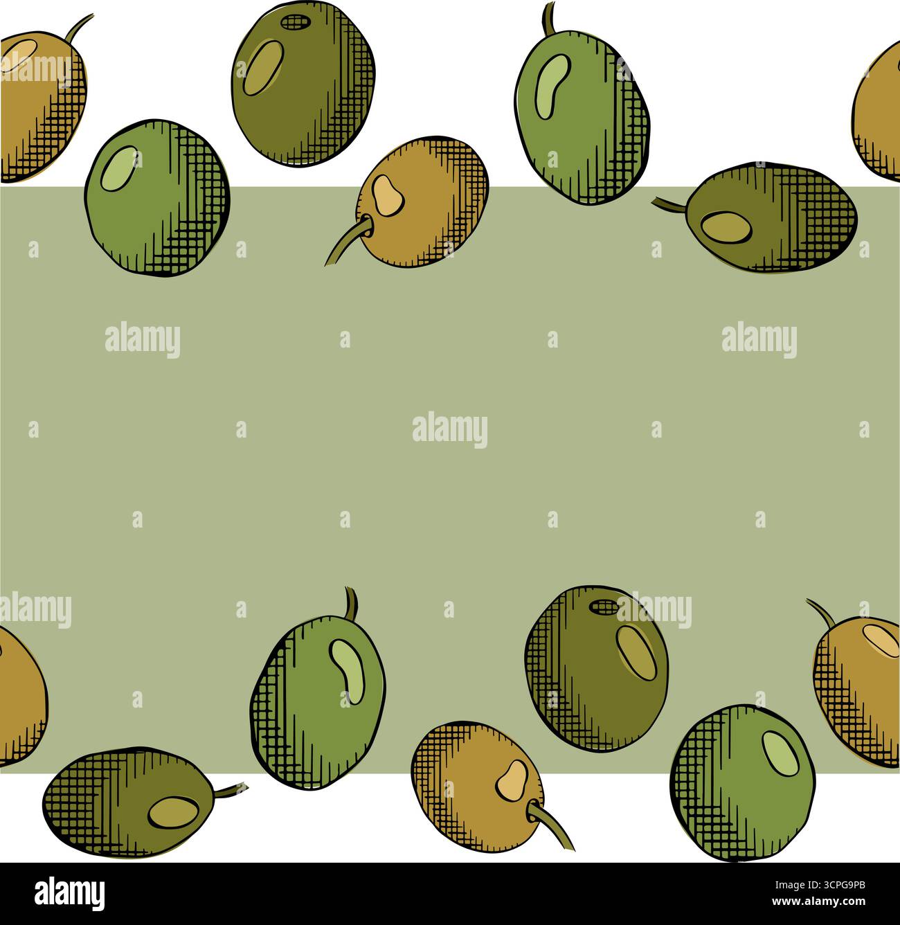 Modello cornice orizzontale con bordo senza cuciture e frutti di oliva. Illustrazione colorata con inchiostro a linee grafiche vettoriali. . Cucina italiana. Ghirlanda di olive per il Mediterraneo d Illustrazione Vettoriale