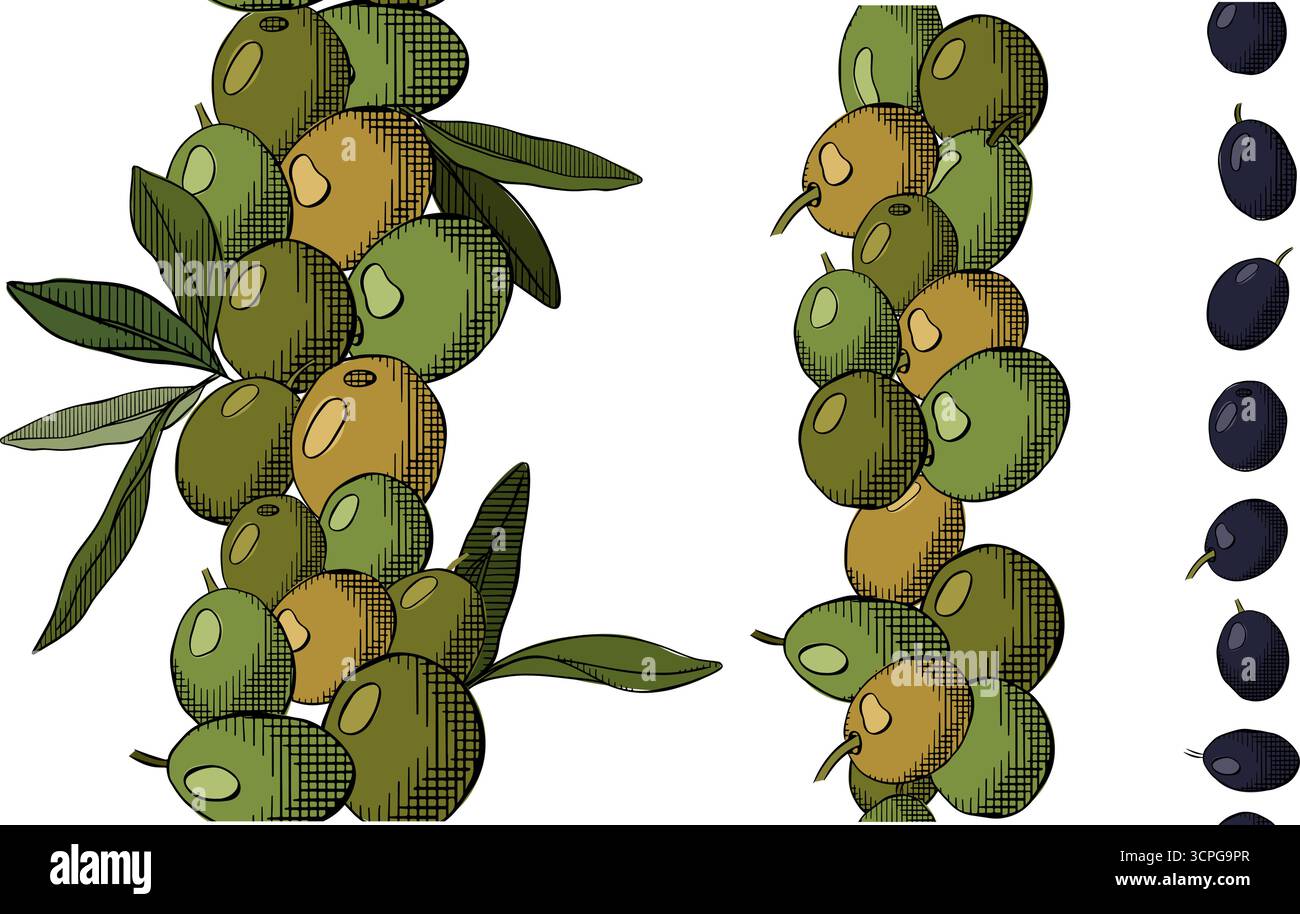 Bacche di oliva, olio e foglie senza cuciture con bordo verticale. Illustrazione colorata con inchiostro a linee grafiche vettoriali. Striscioni, poster, carta da imballaggio, adesivo, stampa Illustrazione Vettoriale