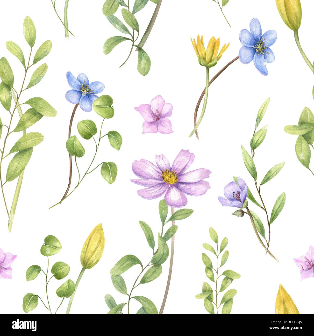 Motivo primaverile senza cuciture con tulipani acquerelli, anemoni, ranuncolo, cosmo ed erbe verdi su sfondo isolato. Illustrazione floreale per tessuti Foto Stock