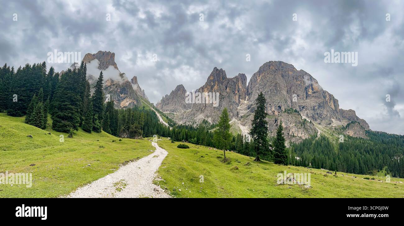 Sentiero escursionistico che conduce al gruppo Langkofel sull'Alpe di Siusi nelle Dolomiti, alto Adige, Italia. Foto Stock