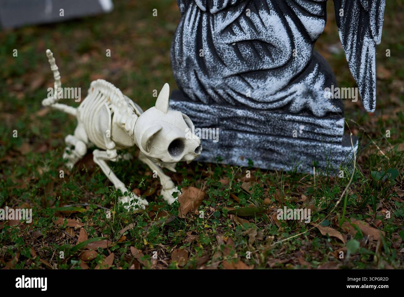 Uno scheletro di gatto osseo accovacciato vicino a una lapide. Le ossa bianche e la statua della tomba creano un inquietante dettaglio del cortile di Halloween. Foto Stock