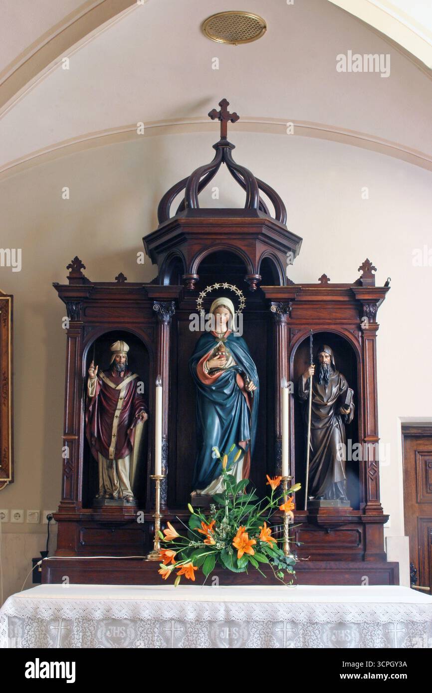 Altare del Sacro cuore di Maria nella Chiesa di San Vincenzo de Paoli a Zagabria, Croazia Foto Stock