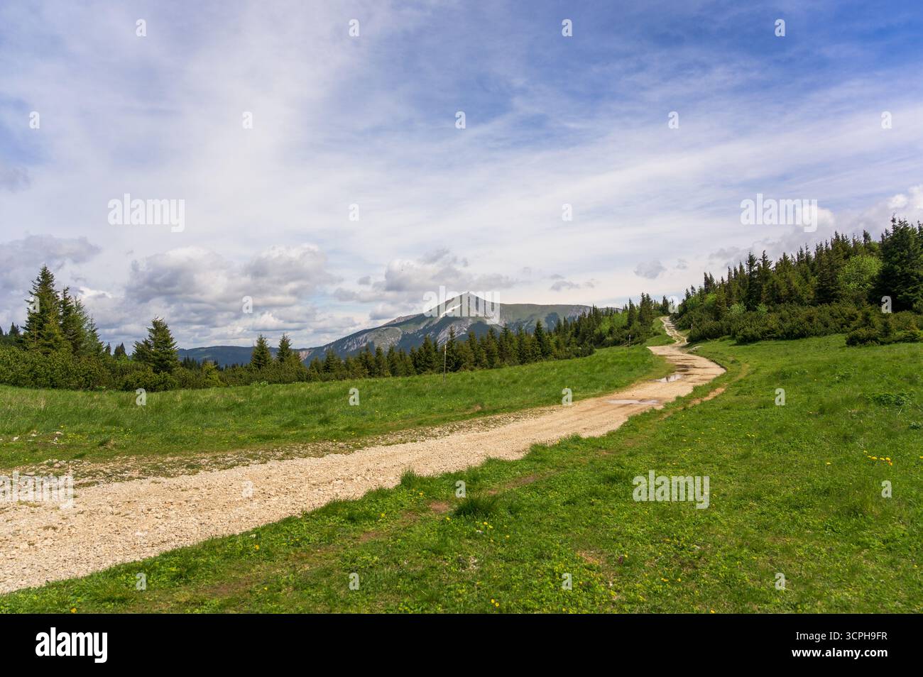 Una vista panoramica di un sentiero che si snoda attraverso lussureggianti prati verdi sotto un cielo azzurro luminoso a Rax Austria, con un sentiero di ghiaia che conduce verso la maestosa montagna Foto Stock