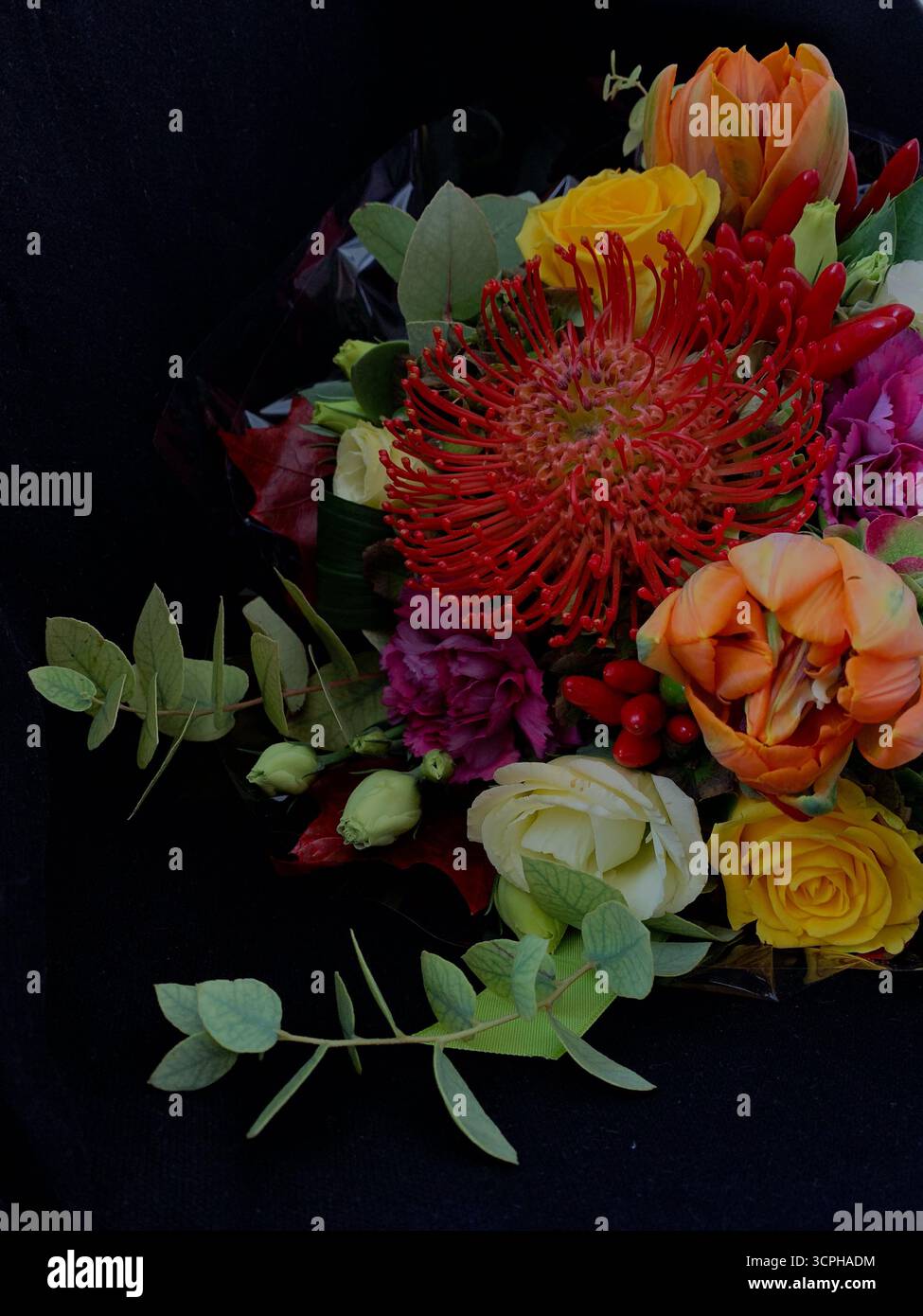 Splendidi fiori freschi su sfondo scuro. Occasioni romantiche, decorazioni floreali, fiori fioriti, eleganza, amore, momenti speciali, sovrapposizione. - Immagine stock catturata con smartphone