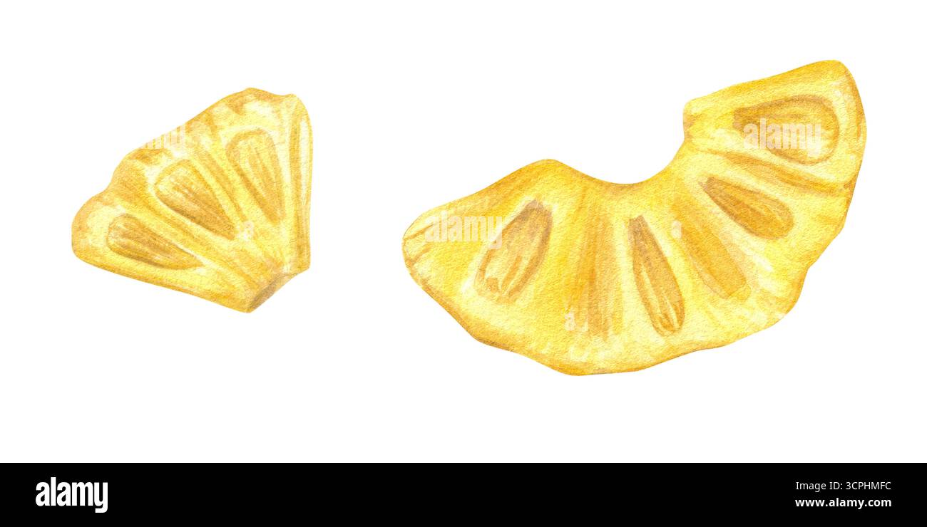 Illustrazione acquerello delle fette di ananas impostate su sfondo isolato. Pezzi di frutta giallo tropicale dipinti a mano clip art per il design del menu estivo Foto Stock