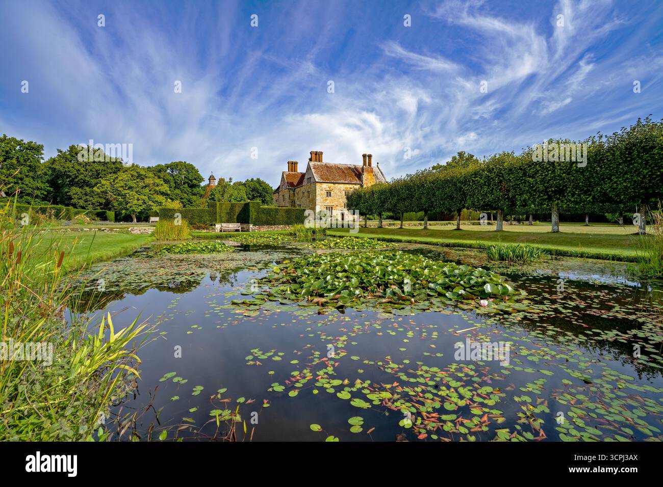 Il laghetto di giglio presso la casa di Bateman, Rudyard Kipling Burwash East Sussex Inghilterra, Regno Unito Foto Stock