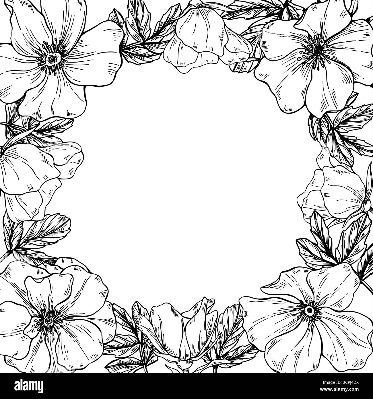 Rosehip rassegna una cornice quadrata vettoriale monocromatica con spazio di copia per il testo. Fiori di rosa di cane selvatico in fiore con disegno di foglie. Modello floreale Illustrazione Vettoriale