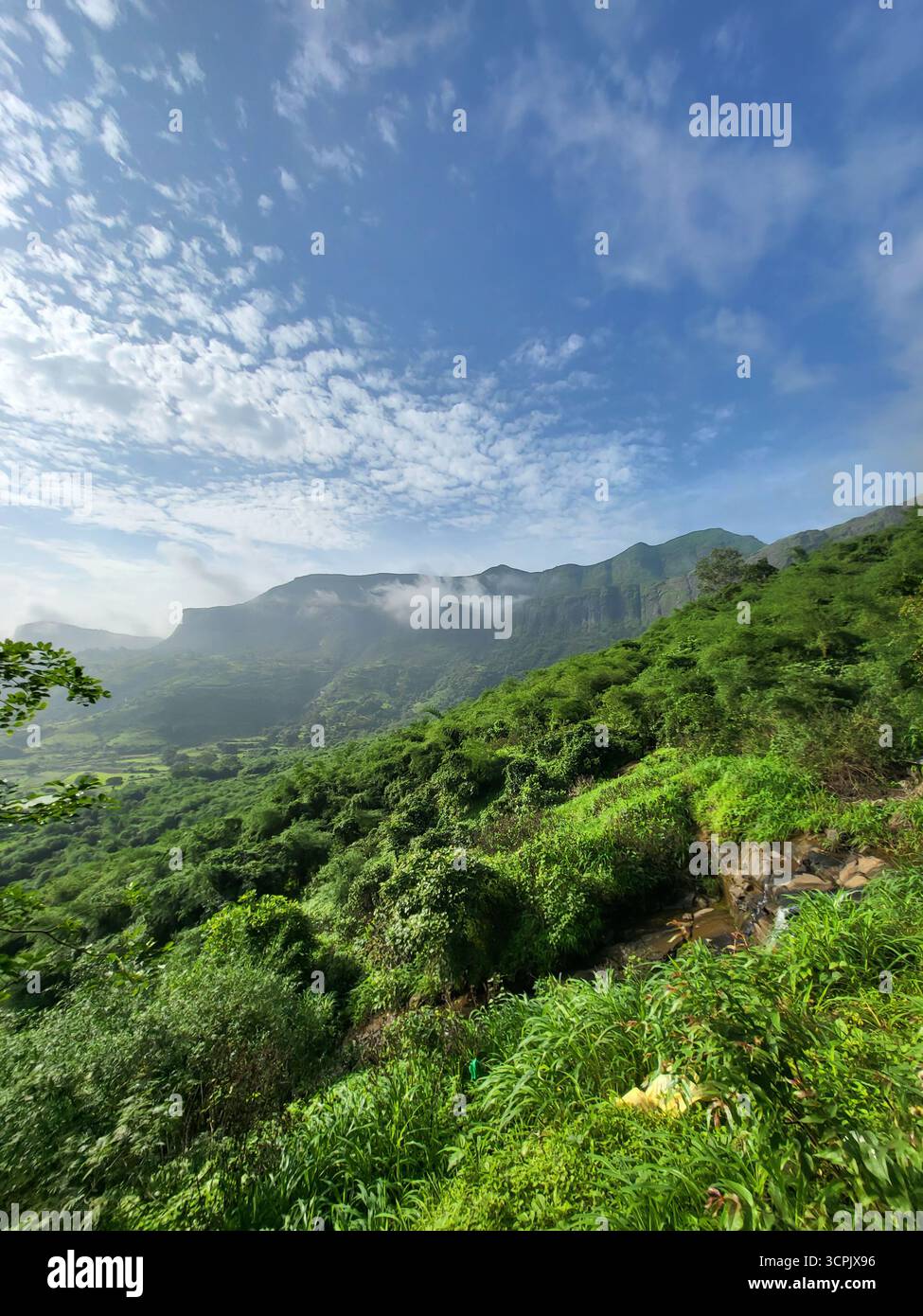 Montagne in India - Immagine stock catturata con smartphone