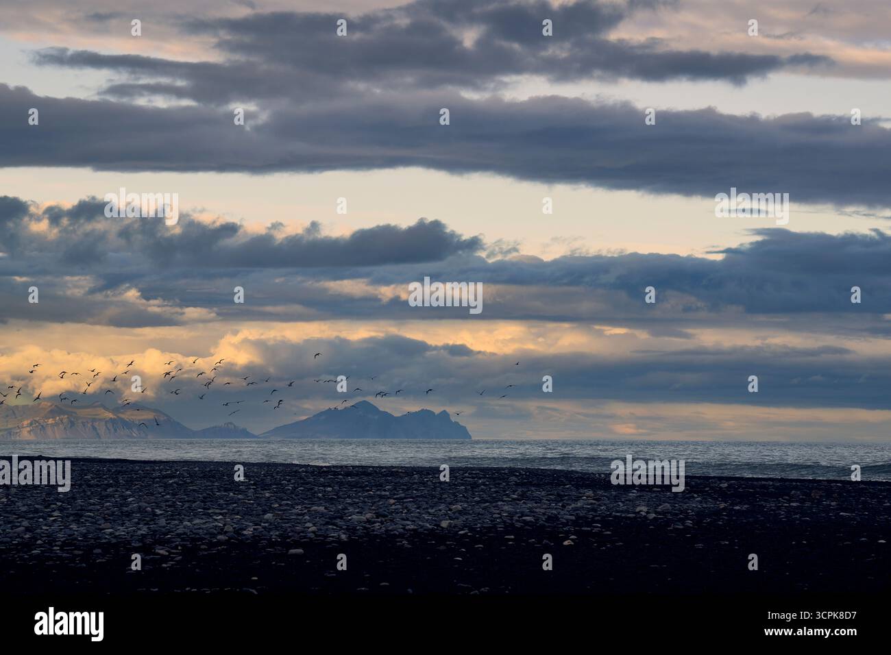 Spiaggia di diamante, Islanda Foto Stock