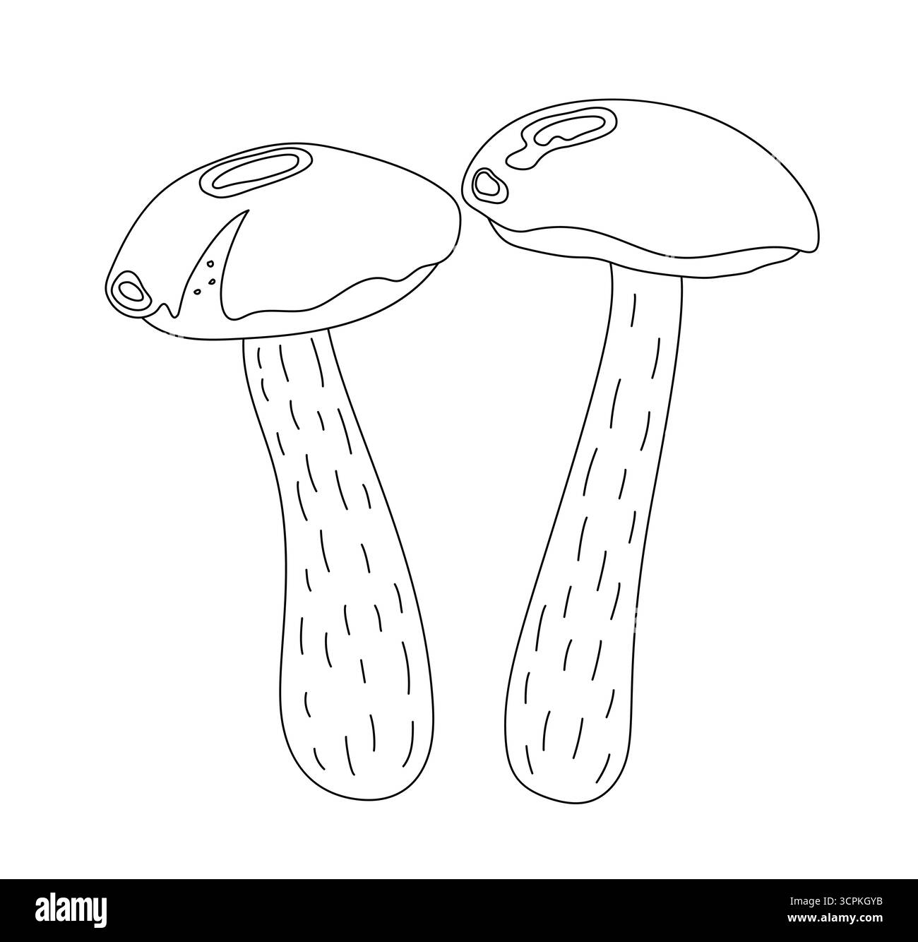 Funghi commestibili della foresta bolo giallo, illustrazione vettoriale del fungo del miele, contorno stagionale autunno doodle disegno ingrediente dieta vegetariana sana per il design del menu, immagine disegnata a mano Illustrazione Vettoriale