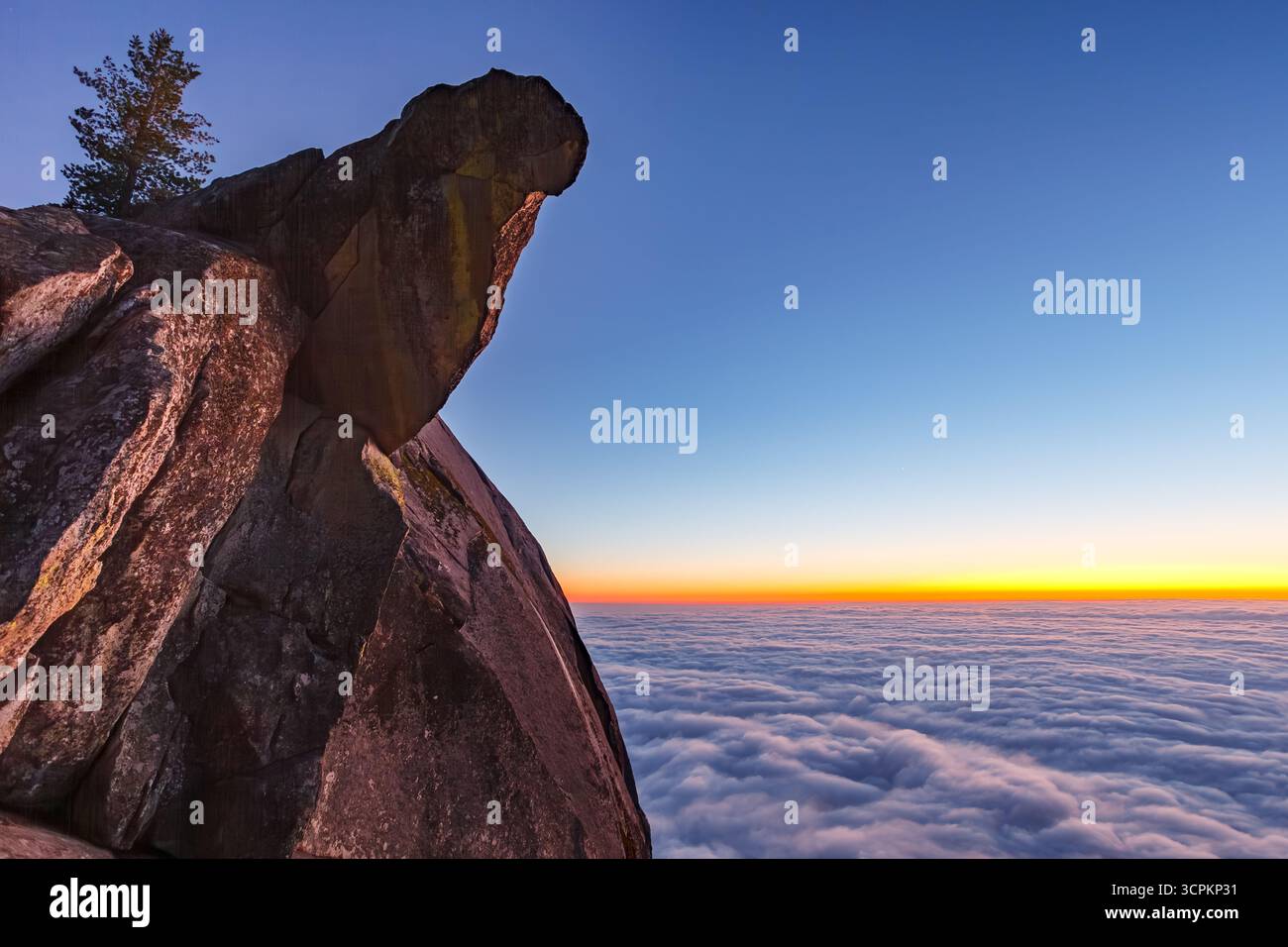 Una vista panoramica da un'alta quota, caratterizzata da una scogliera rocciosa con un piccolo albero aggrappato al suo bordo, che si affaccia su un mare di nuvole illuminate dai colori del tramonto o del sorgere del sole. Foto Stock