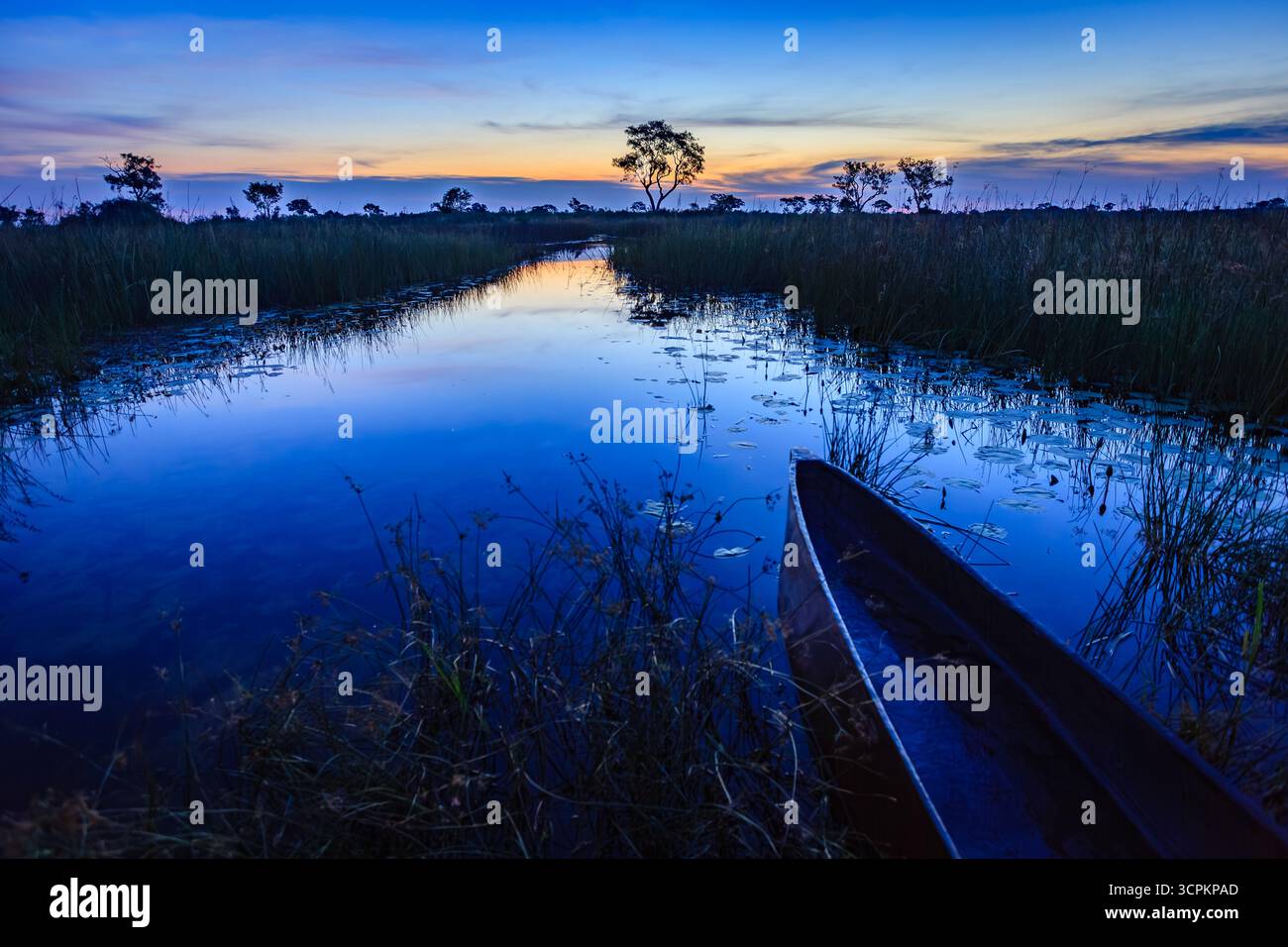 Un mokoro, una canoa tradizionale, si trova sul bordo di un tranquillo corso d'acqua nel Delta dell'Okavango al crepuscolo, che riflette i colori vibranti del tramonto e le sagome di alberi lontani, offrendo uno sguardo sulla bellezza serena e sui metodi di trasporto tradizionali di questa zona umida africana unica. Foto Stock