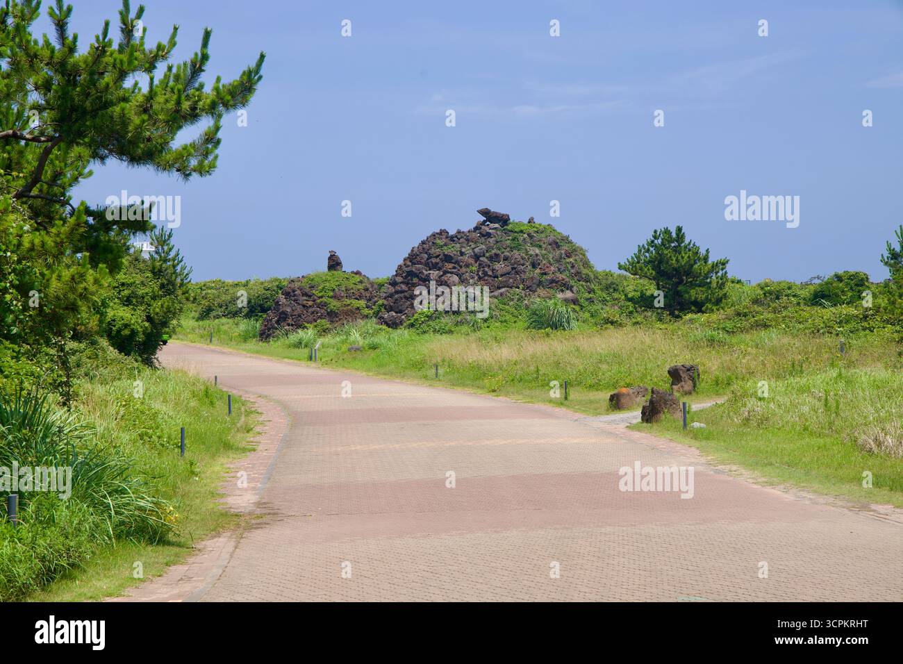 Uno stretto sentiero si snoda attraverso alte erbe e bassi pini dietro il complesso dell'Isola di Phoenix a Seopjikoji, conducendo gli escursionisti su dolci dune verso t Foto Stock