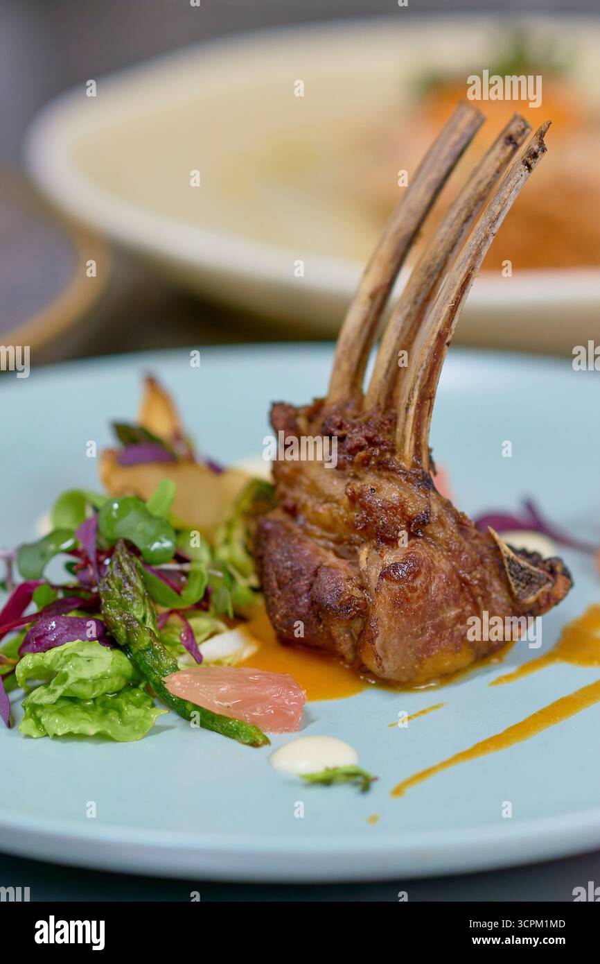 Agnello dorato con insalata vivace e salsa su un piatto bianco. Presentazione gourmet e contrasti sullo sfondo sfocato di una cucina professionale. Foto Stock