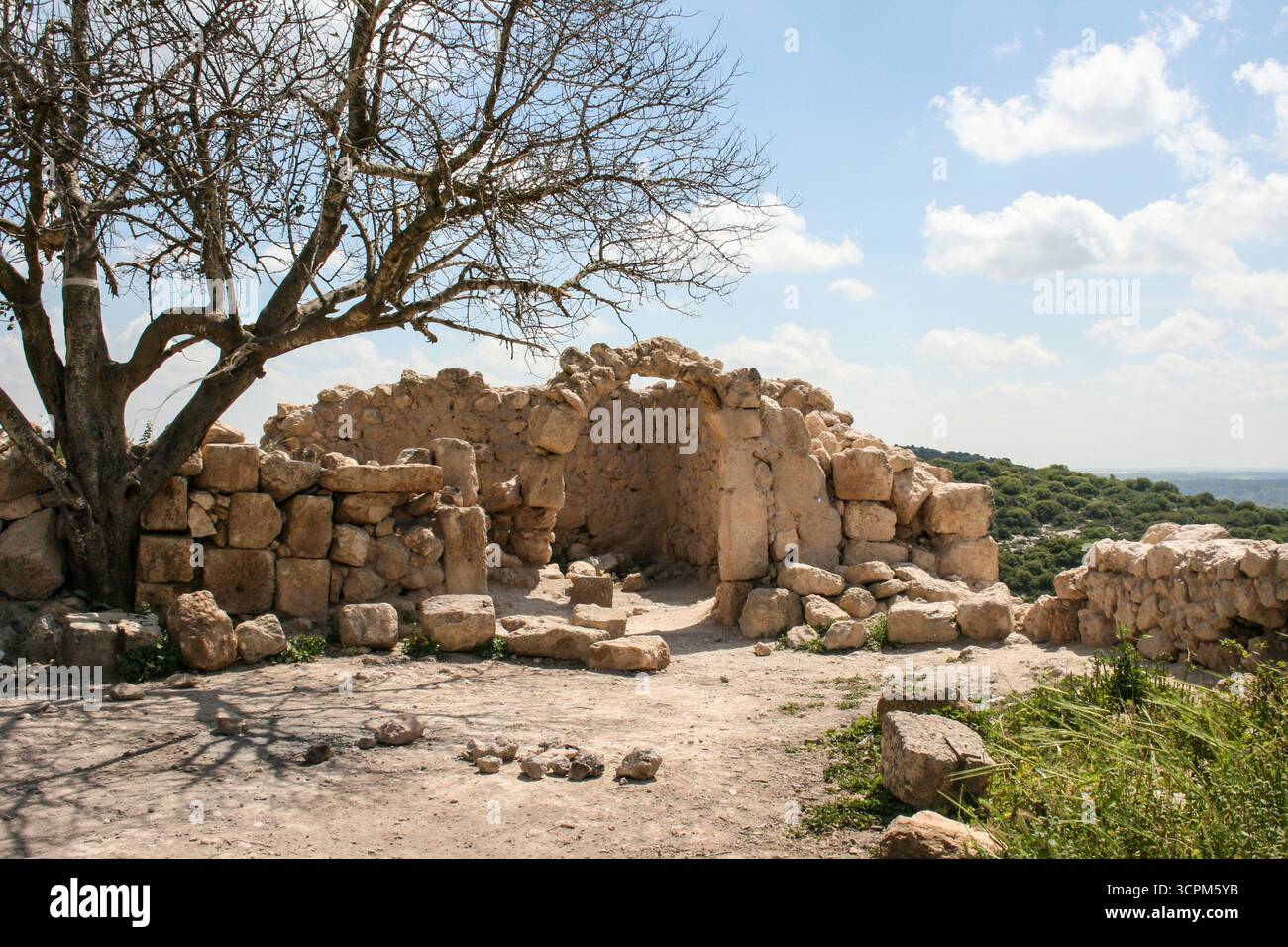 Rovine di pietra circondate dalla natura - cielo blu e storia antica Foto Stock