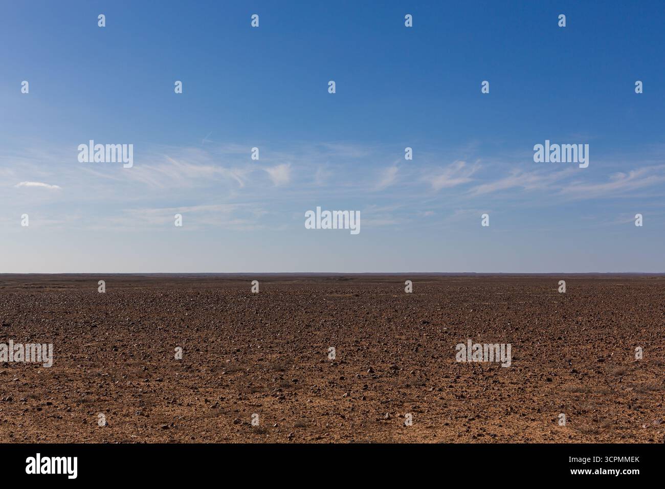 Vasta pianura senza alberi dell'Australia centrale, caratterizzata da un paesaggio pianeggiante e arido ricoperto di piccole pietre e ghiaia. Foto Stock