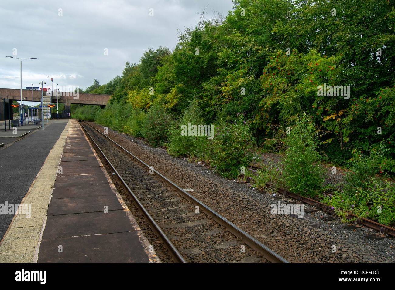 Vista prospettica lungo i binari della stazione di Rose Grove, Burnley, con una piattaforma, argini sovrastati e un ponte distante. Foto Stock