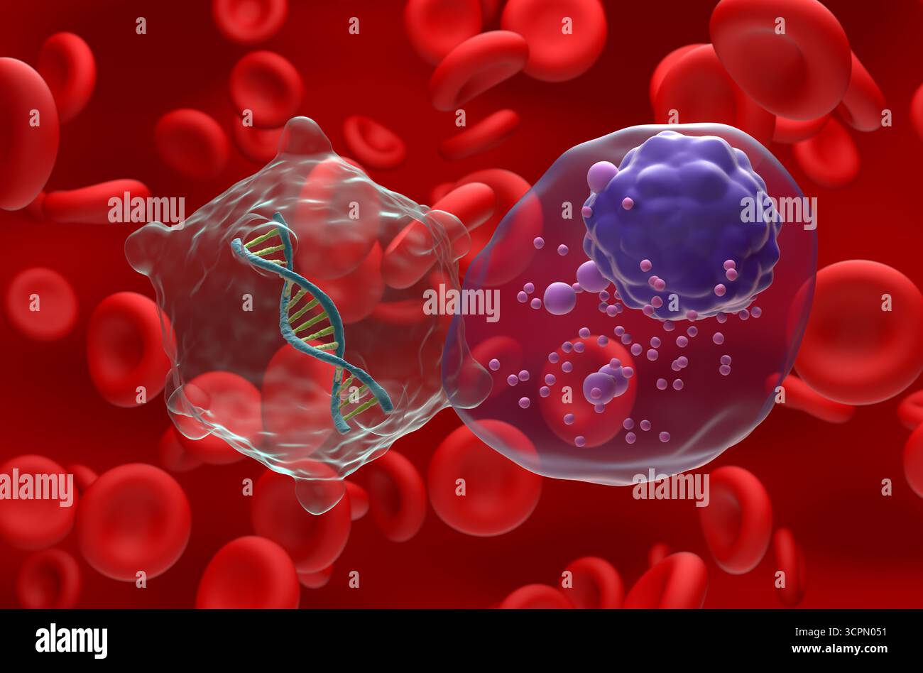 Terapia genica nel mieloma multiplo (MM) - Vista ravvicinata illustrazione 3d. Foto Stock