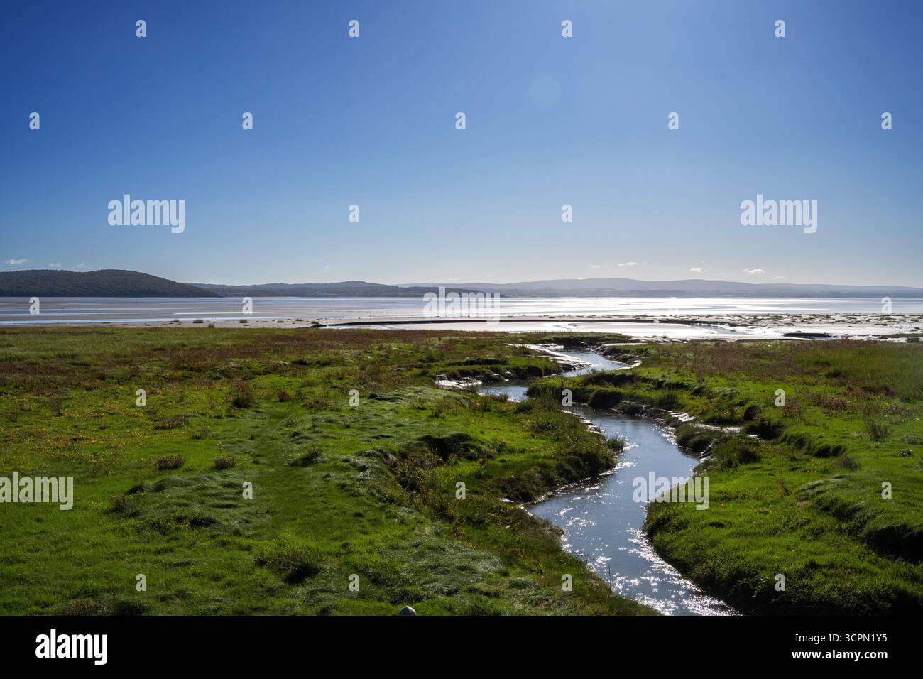 Vista panoramica delle paludi salate e delle distese di marea di Morecambe Bay da Grange-over-Sands, Cumbria, Inghilterra Foto Stock