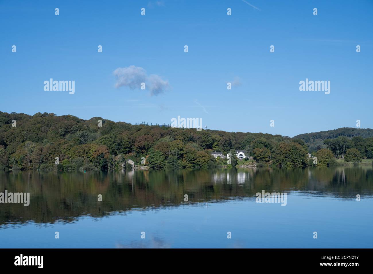 Vista panoramica di Windermere con riflessi di alberi e colline lontane, Lake District National Park, Cumbria, Inghilterra Foto Stock