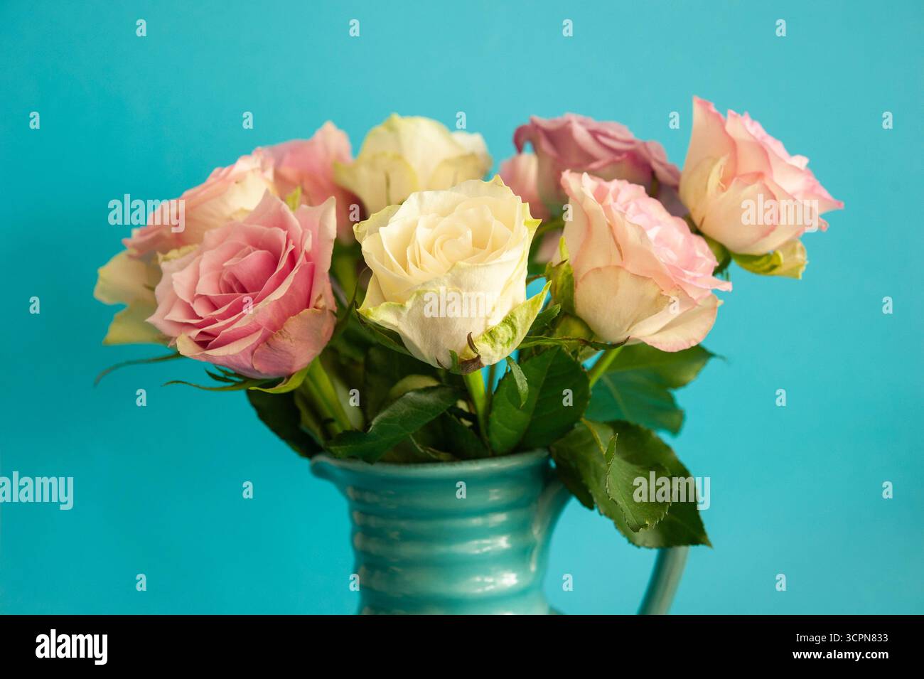 Bouquet di rose rosa e bianche in vaso blu su sfondo luminoso Foto Stock