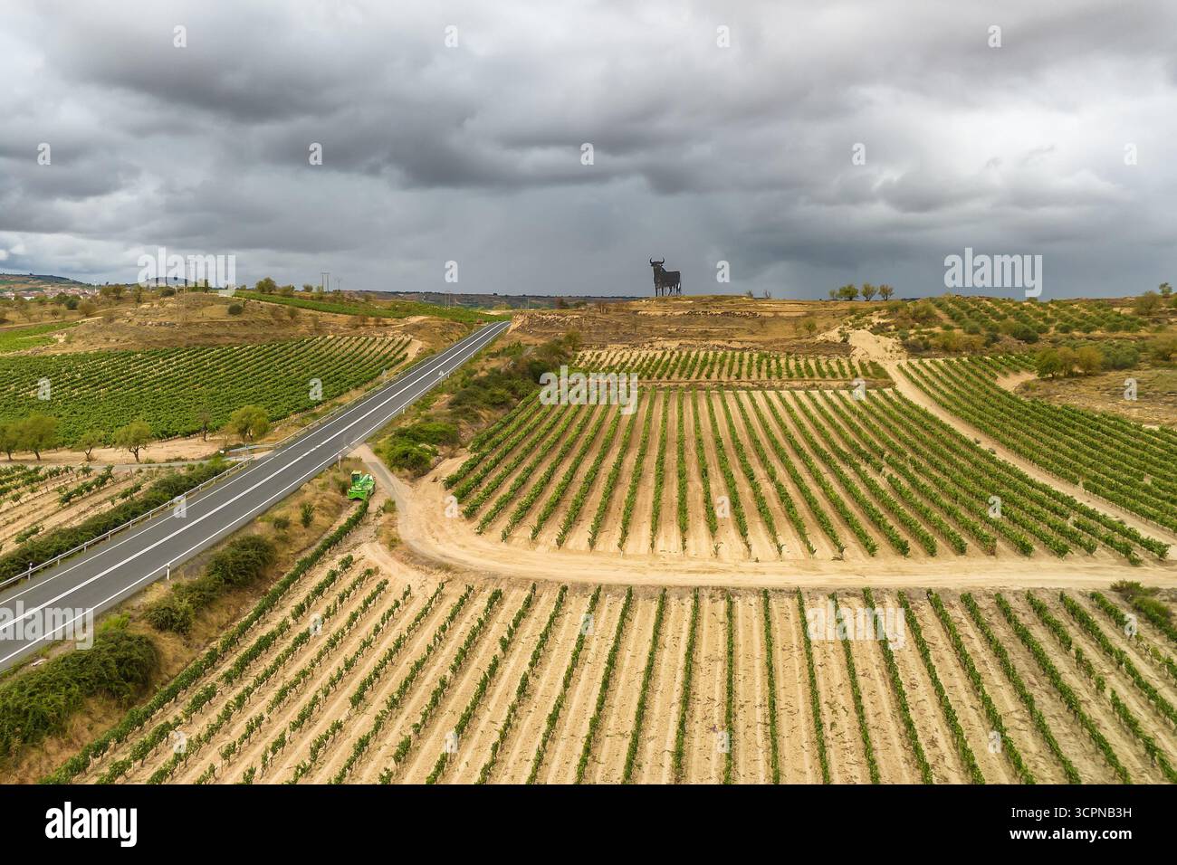 Splendido vigneto nella regione spagnola di la Rioja. Vista aerea di infiniti vigneti in estate, che producono il famoso vino Rioja nel nord della Spagna Foto Stock