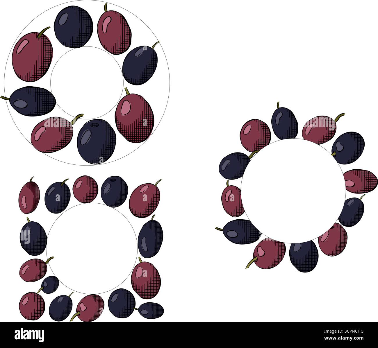 Dima quadrata circolare color oliva e frutti di bosco. Illustrazione colorata con inchiostro a linee grafiche vettoriali. Rosmarino senza frutti, telaio circolare a foglia d'alloro per cartoncino, alimenti c Illustrazione Vettoriale