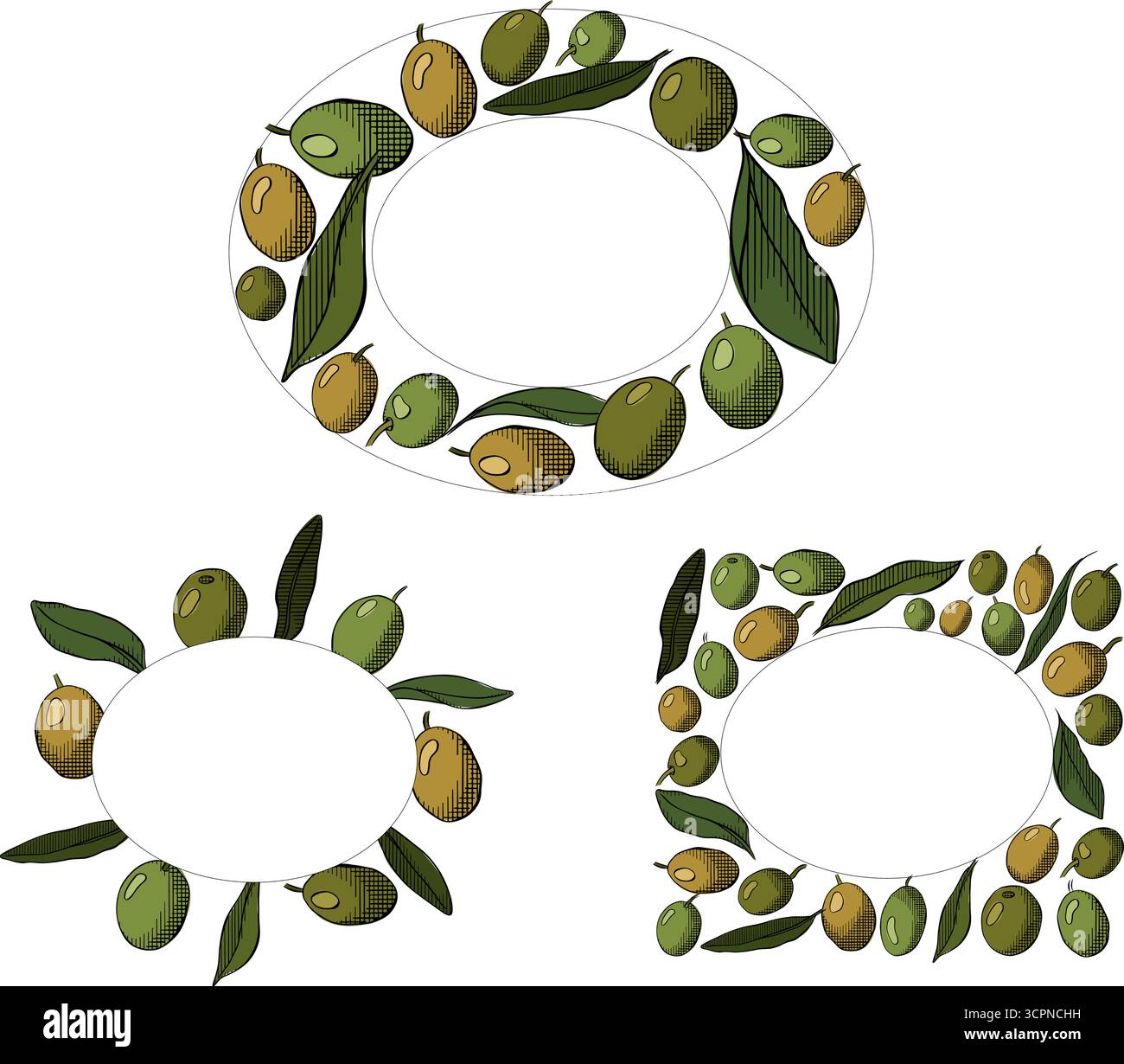 Verde oliva bacca e foglie rettangolo ovale Imposta modello cornice. Illustrazione colorata con inchiostro a linee grafiche vettoriali. Cibo sano, cosmetici biologici naturali Illustrazione Vettoriale