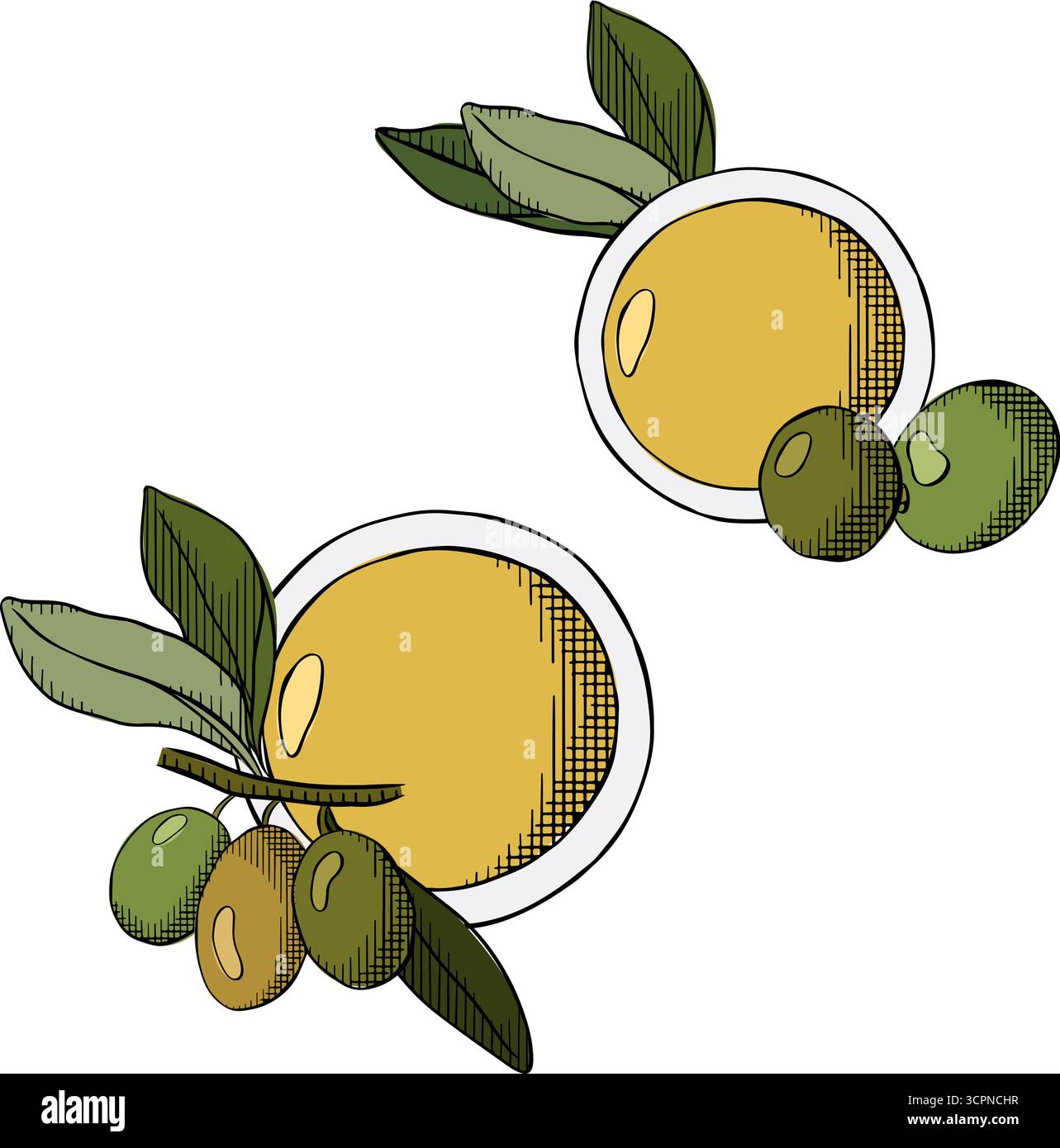 Prodotti d'oliva realistici. Olive sottaceto in latta bianca, bottiglia di vetro per olio, etichetta vuota, goccia, alimenti agricoli, illustrazione colorata con inchiostro a linee grafiche vettoriali Illustrazione Vettoriale