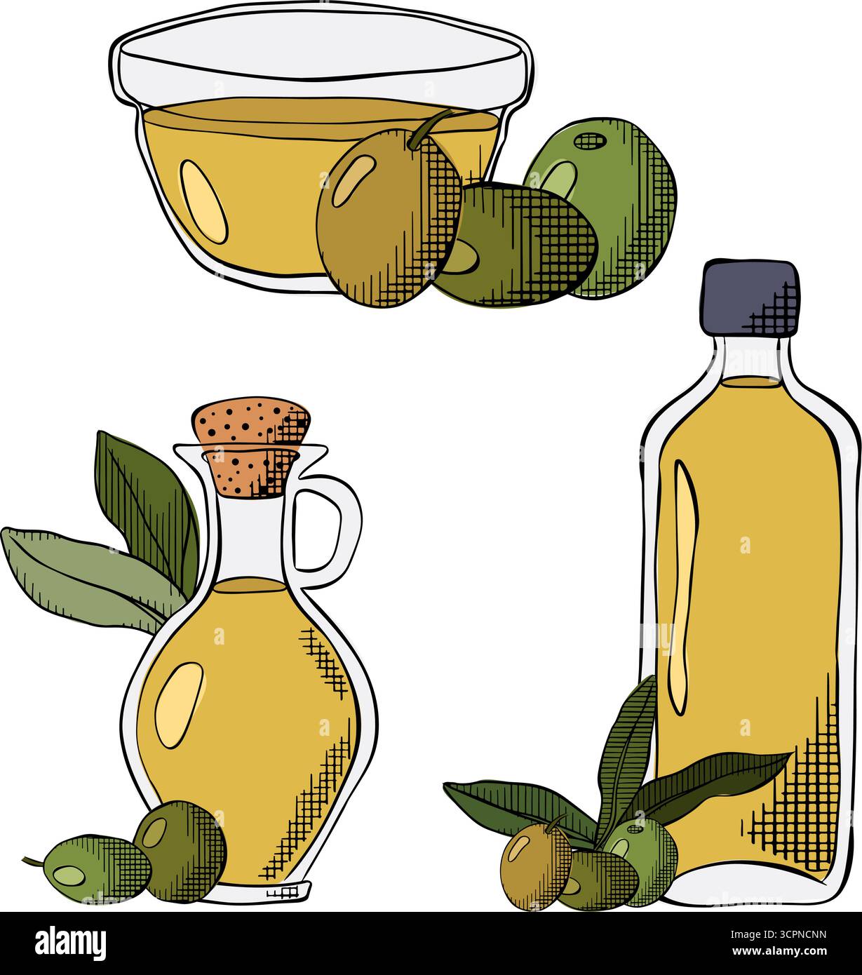 Bottiglia di olio d'oliva, bacca, set isolato. Illustrazione colorata con inchiostro a linee grafiche vettoriali. Firma silhouette per logo, stampa, fumetti, moda, pop art, Illustrazione Vettoriale