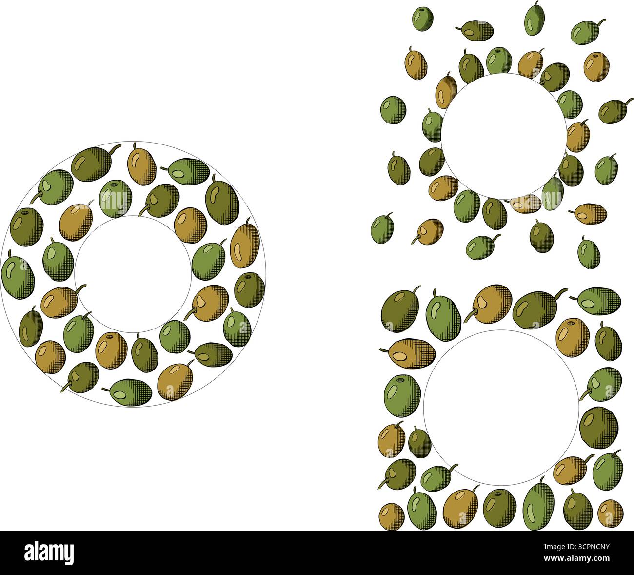 Dima di cornice per set rotondo di frutti di oliva. Illustrazione colorata con inchiostro a linee grafiche vettoriali. Cucina italiana. Corona di olive per la dieta mediterranea. Illustrazione Vettoriale
