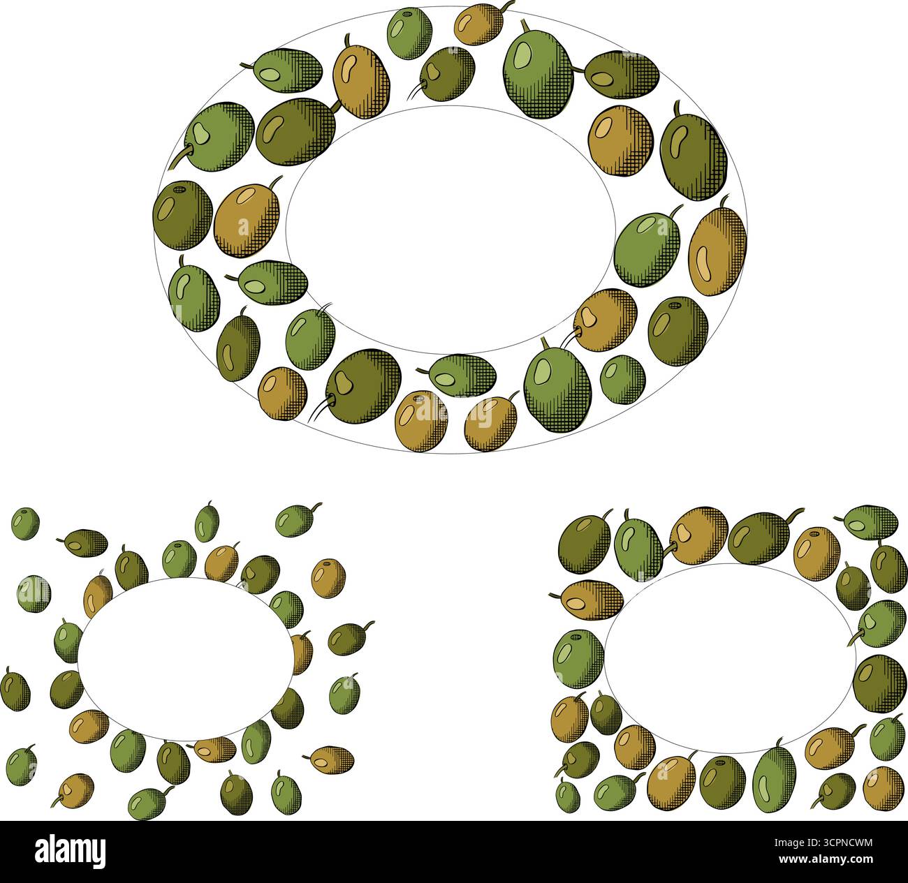 Modello cornice set rettangolo ovale color oliva. Illustrazione colorata con inchiostro a linee grafiche vettoriali. Cucina italiana. Corona di olive per la dieta mediterranea. per me Illustrazione Vettoriale